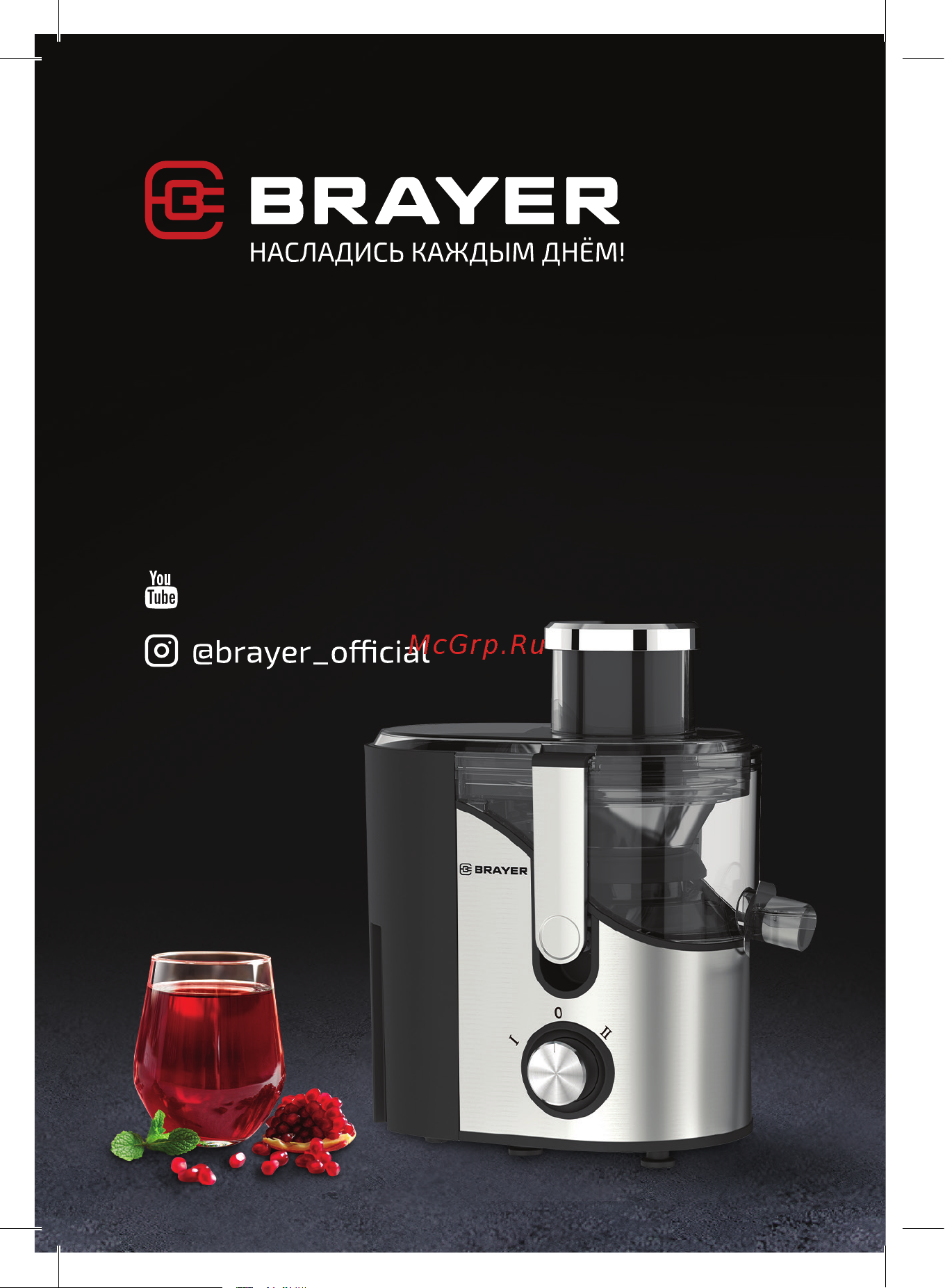 Brayer BR1710 Книга рецептов онлайн