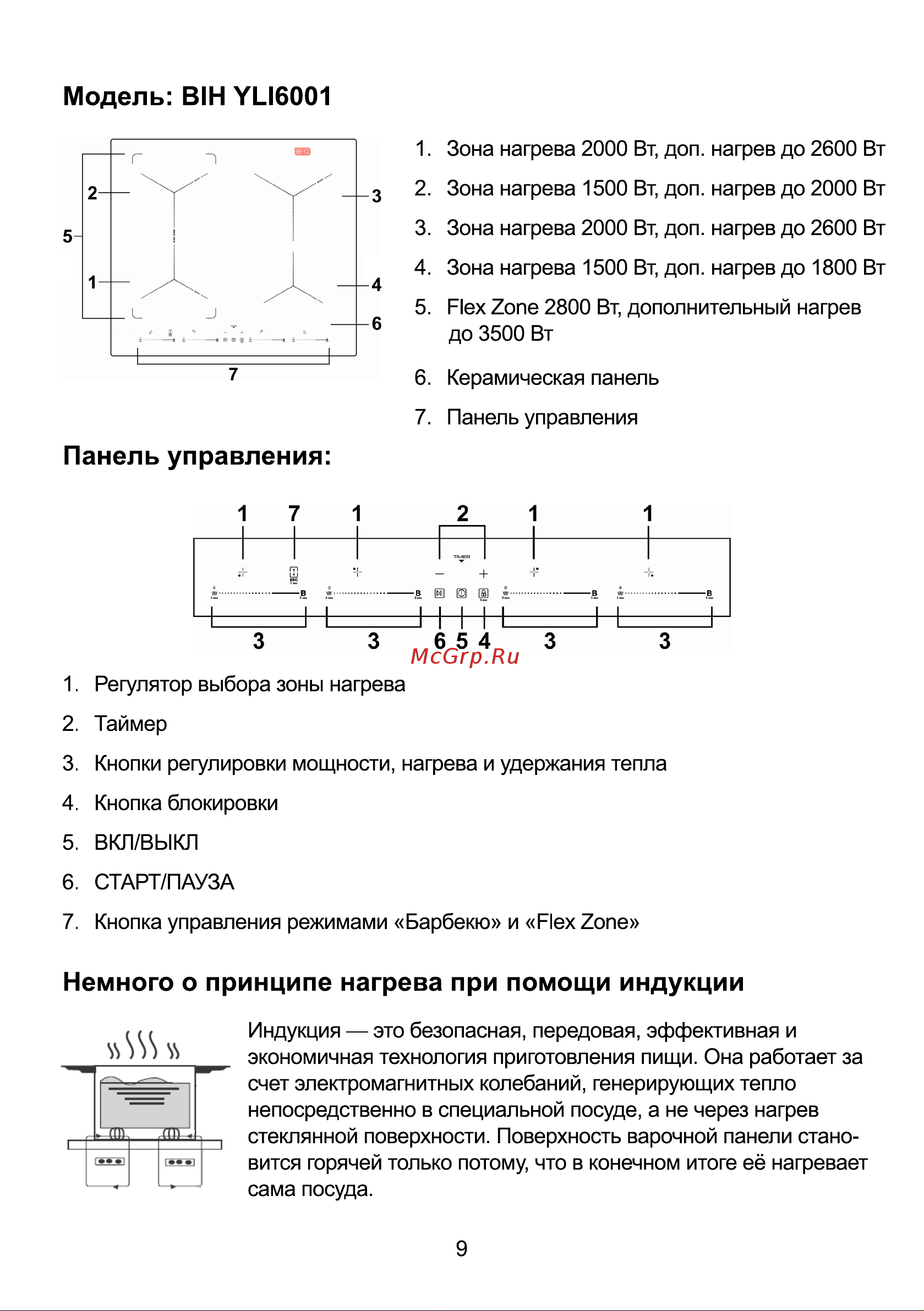 Galatec BIH YLI3001 Инструкция по эксплуатации онлайн [9/33] 813372