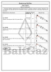 Baltgaz 30841 Инструкция