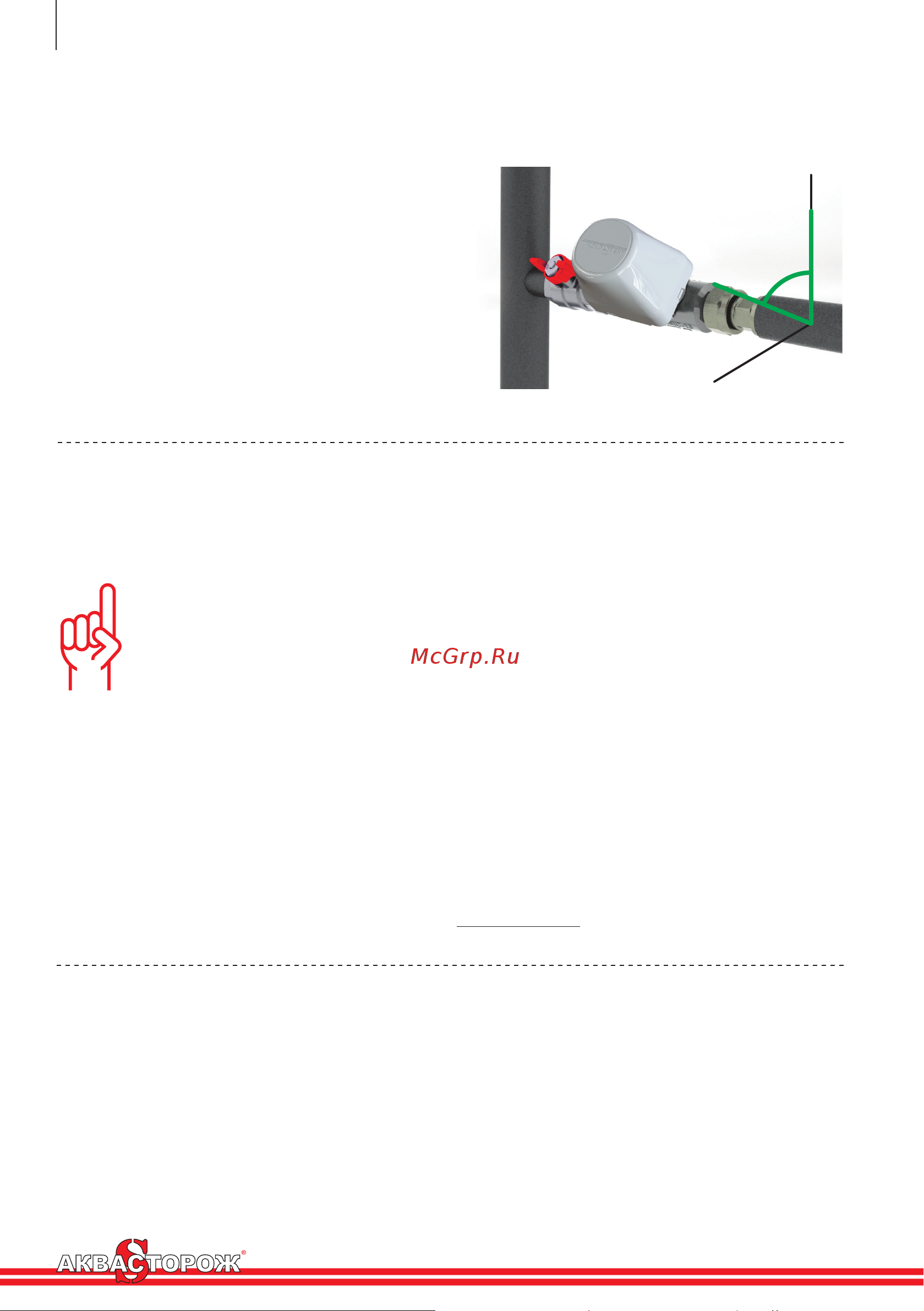 Аквасторож Классика 100 RG008Q2174PV42 Инструкция к Аквасторож Классика RG008Q2174PV42 онлайн [16/22] 815765