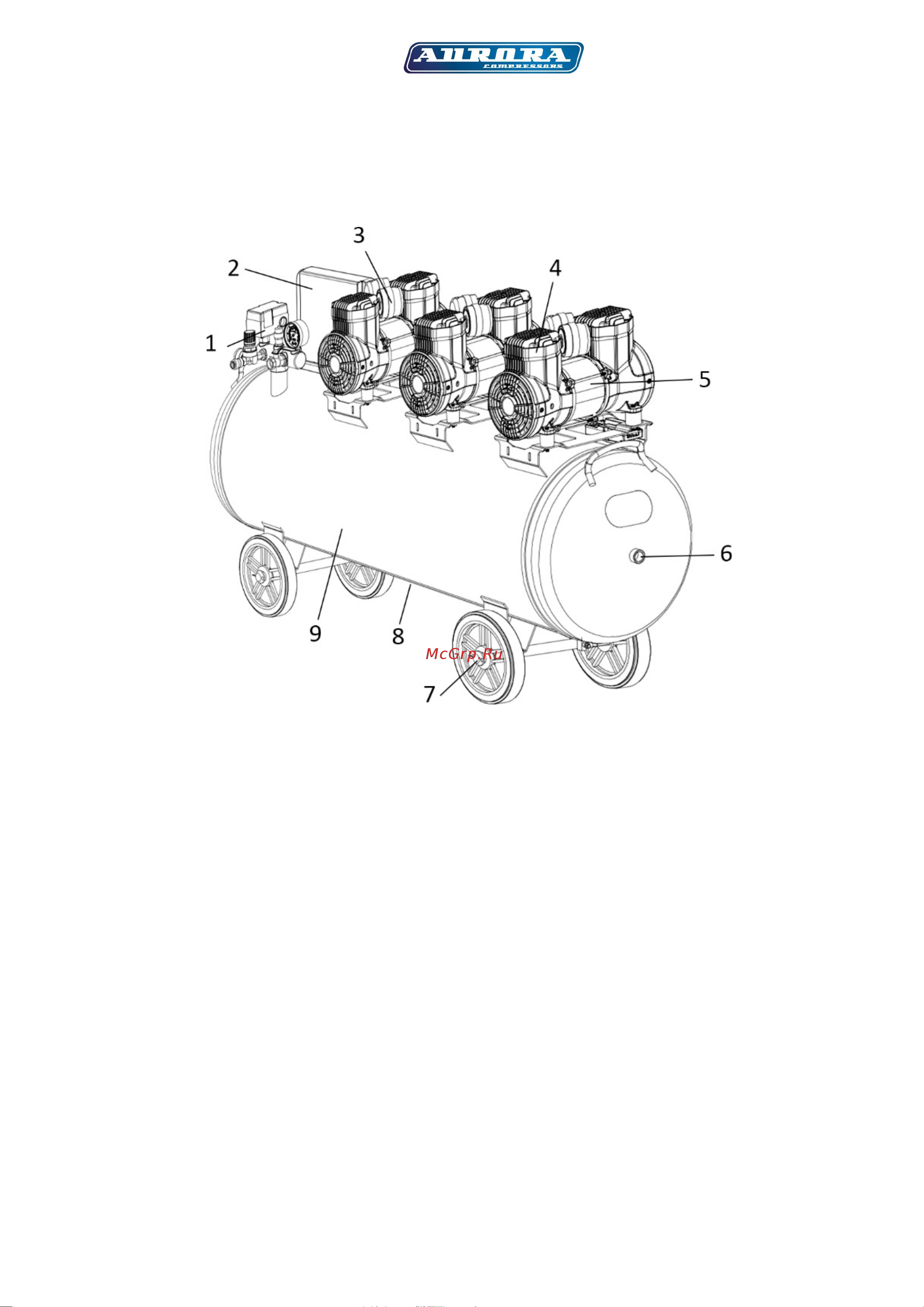 Aurora PASSAT-250 MODULE тихий, безмасляный, 250 л, 1000л/мин, 5.8 кВт 35013 Инструкция к товару онлайн [7/23] 815957