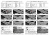 ДекТай Змейка-Лодочка 190 ЛЦС 100 шт. 190ЛЦС 100 Инструкция по монтажу
