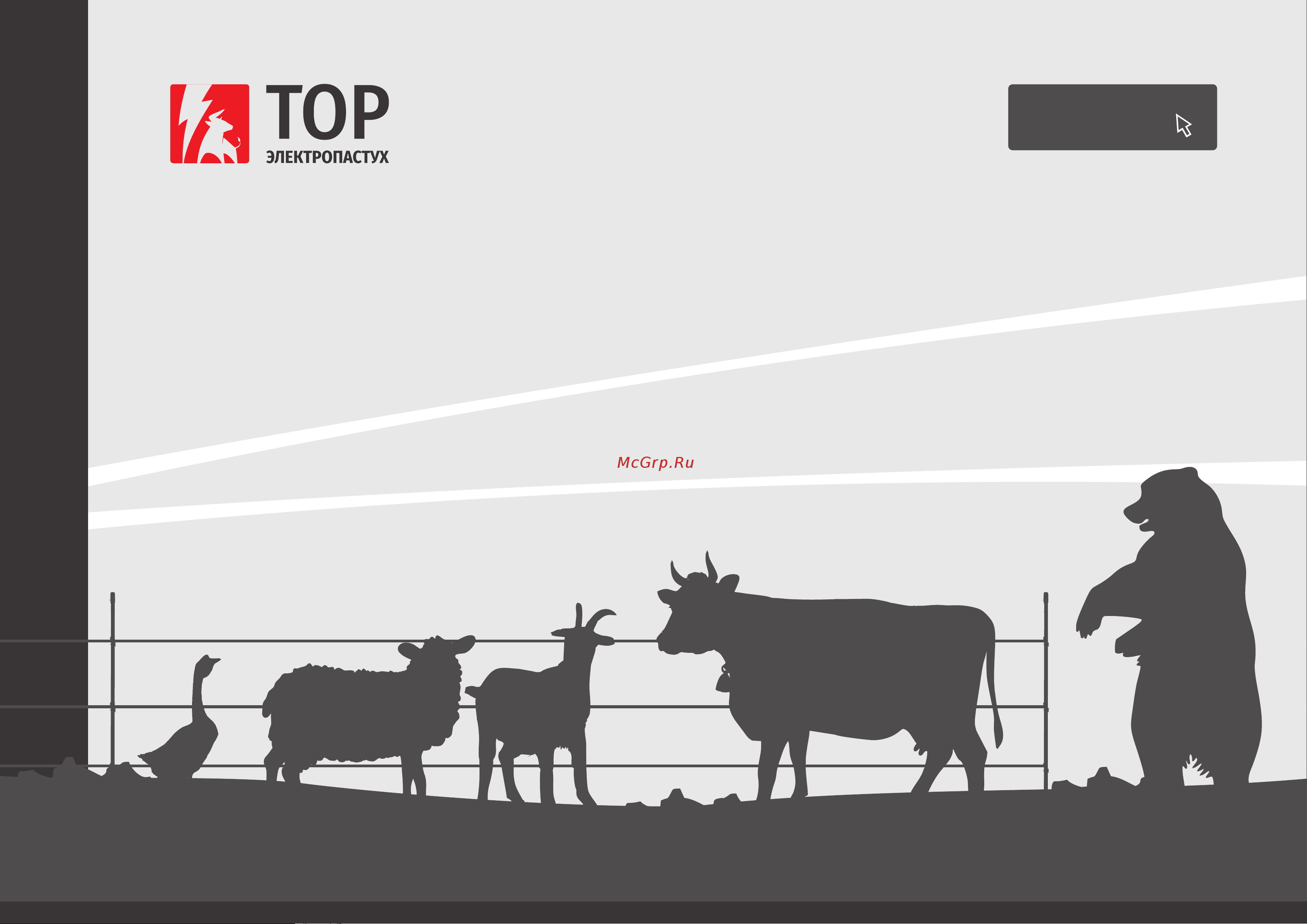 Тор 1 ряд / 5 метров НПК 5м Презентация продукции онлайн