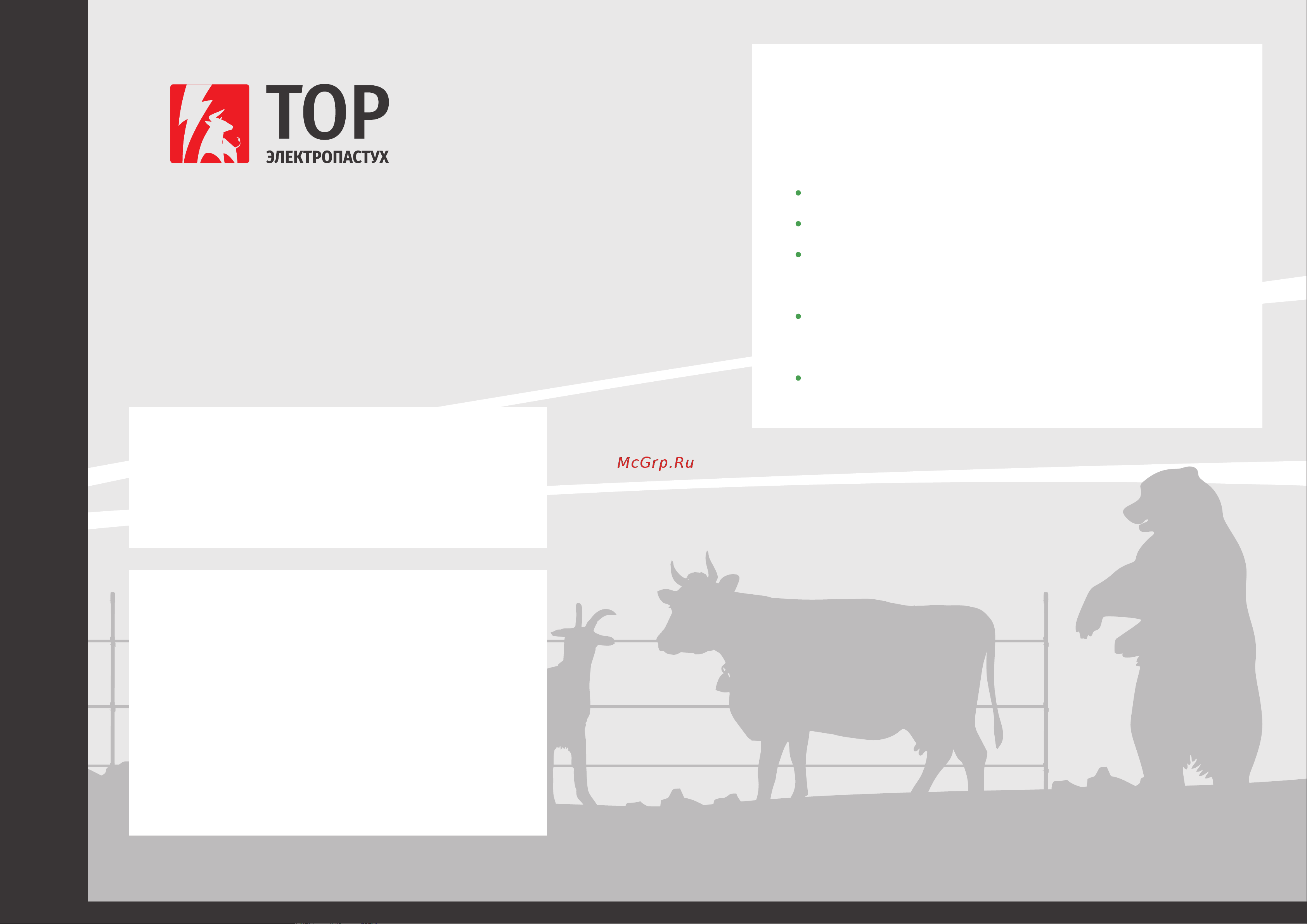 Тор МЗЗ Презентация продукции онлайн [10/10] 859836