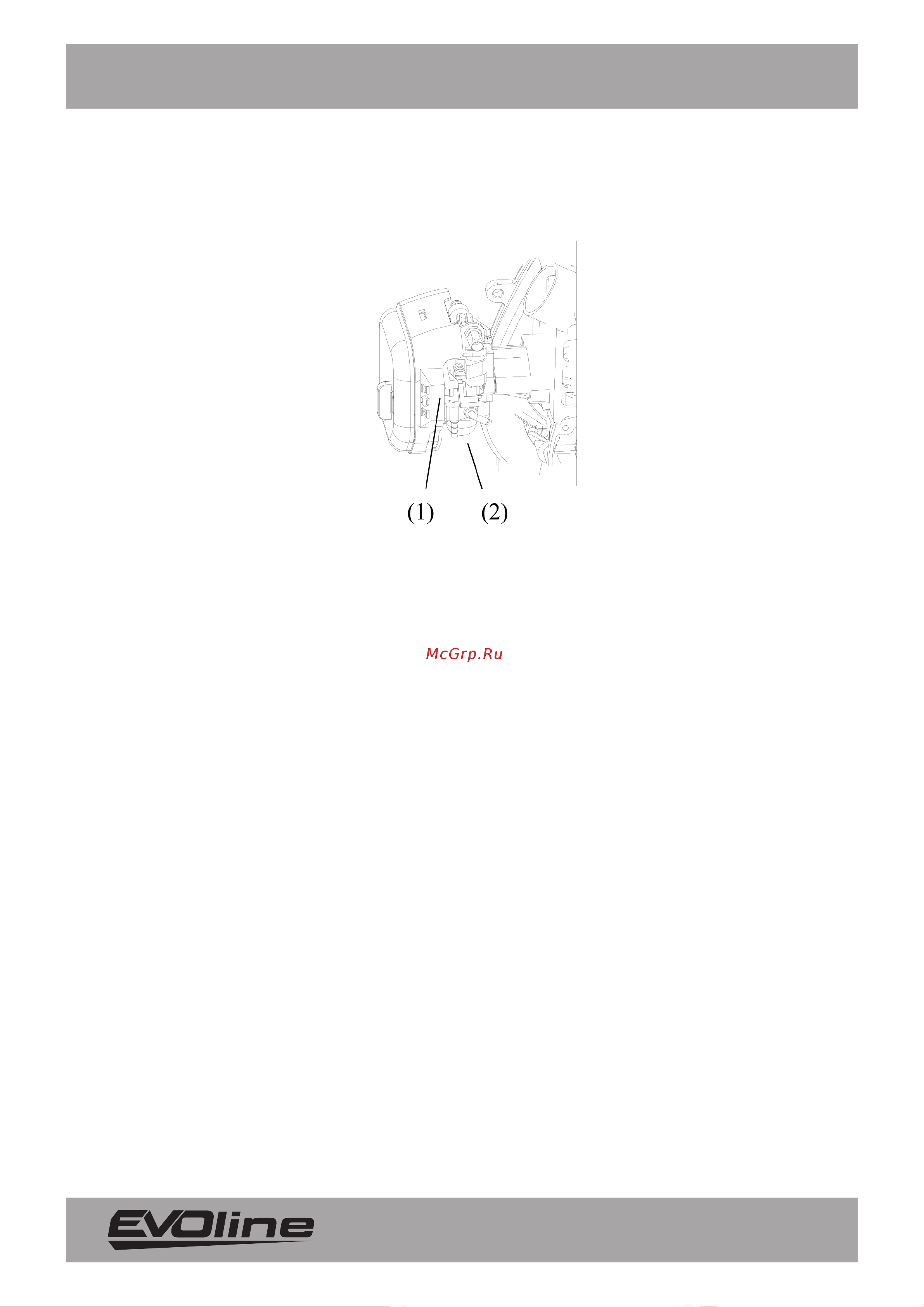 Evoline HTG23-60 Инструкция онлайн [10/18] 818360