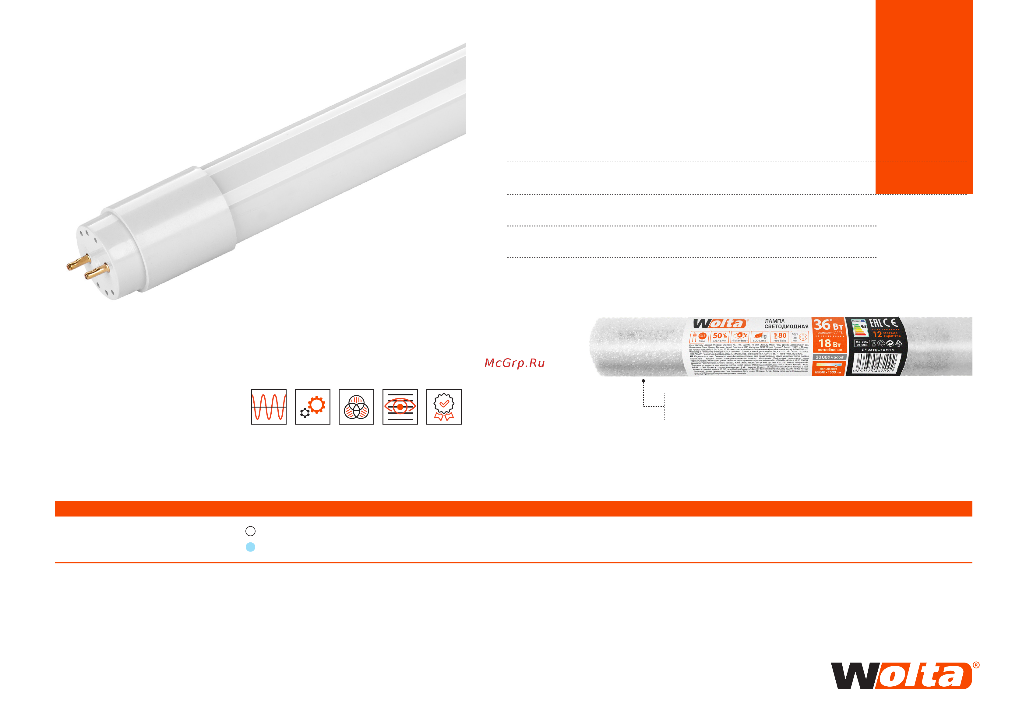 Wolta LED 10Вт, 6500К Холодный белый свет, G13, 600 мм 25WT8-10G13 Презентация онлайн