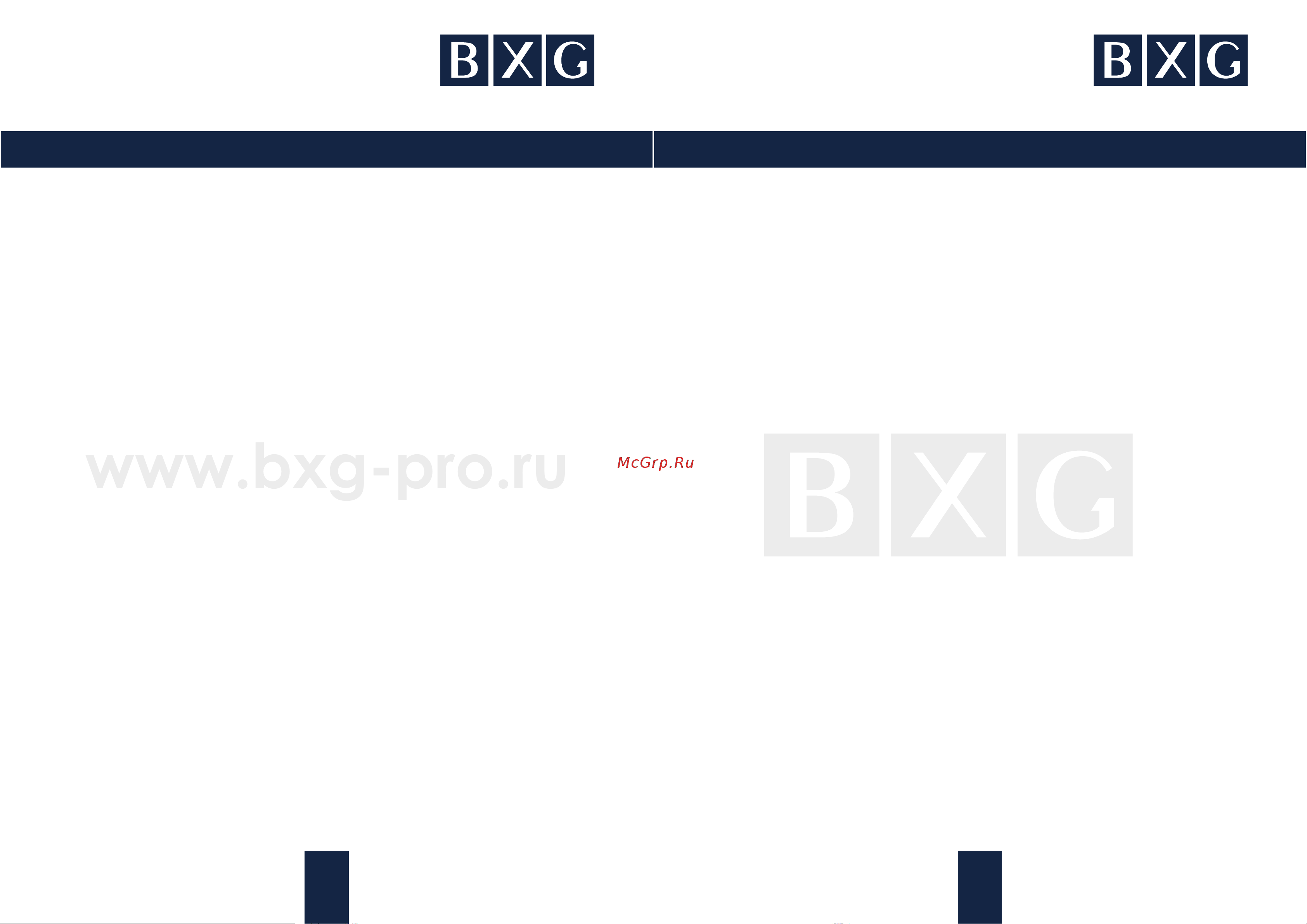 BXG ASD-500 1748613 Инструкция BXG-ASD-500 new онлайн [3/6] 819670