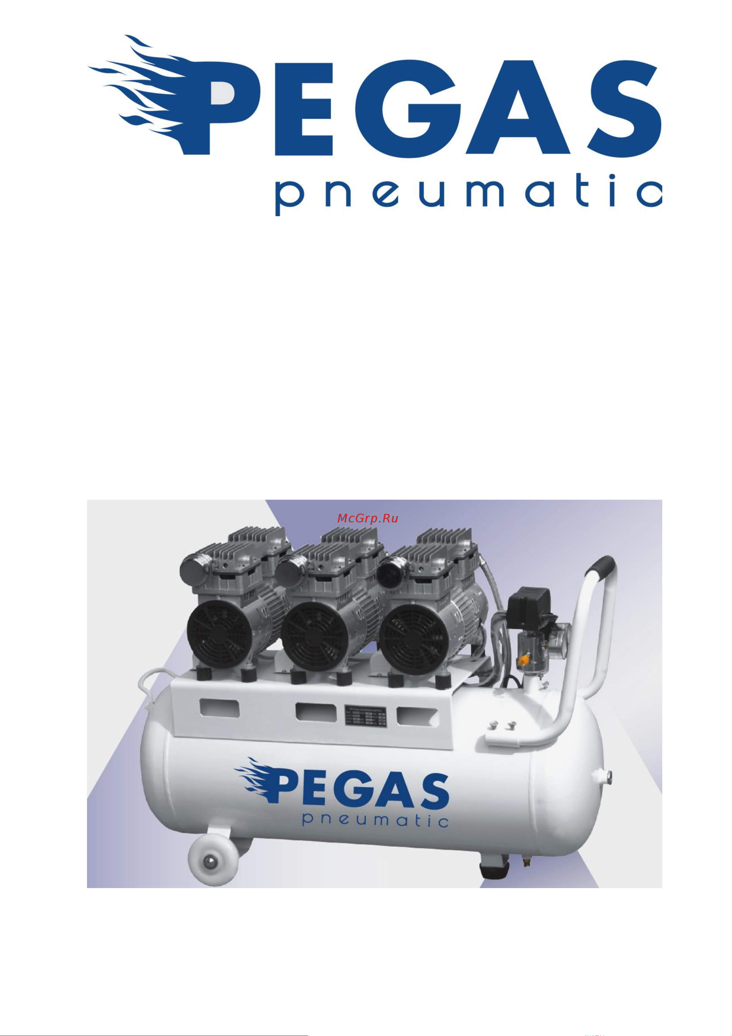 Pegas pneumatic PG-1400 проф. серия 6622 Инструкция онлайн