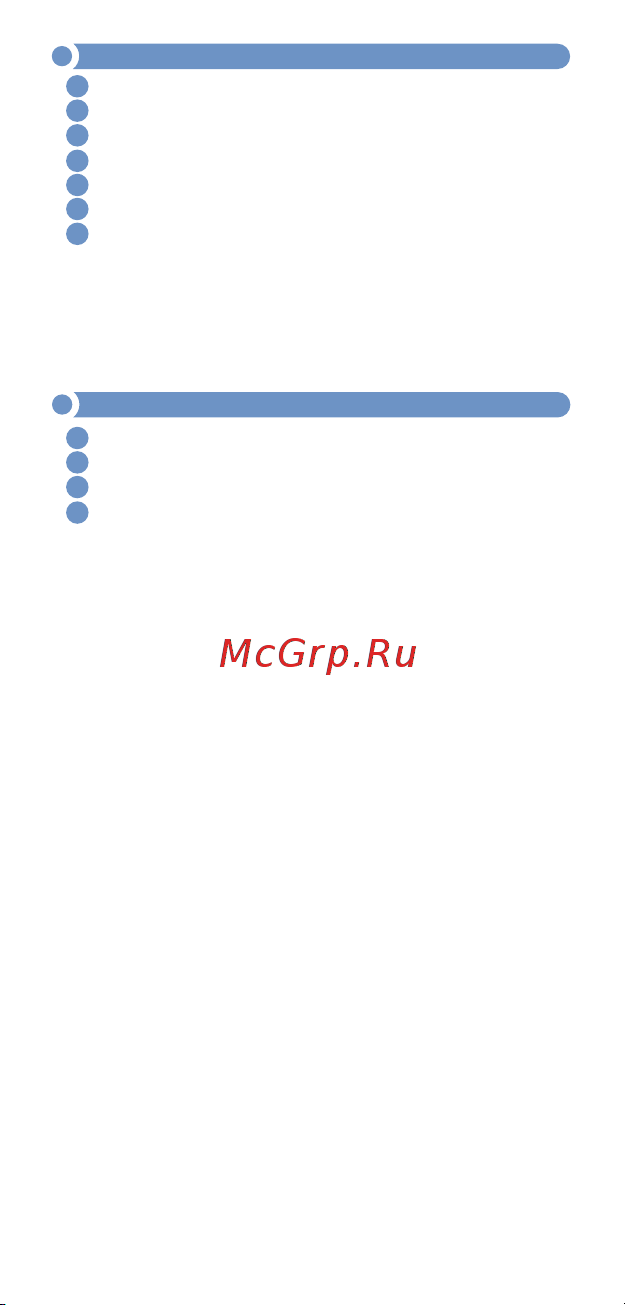 МЕГЕОН 19010 к0000017046 Инструкция онлайн [7/8] 821176