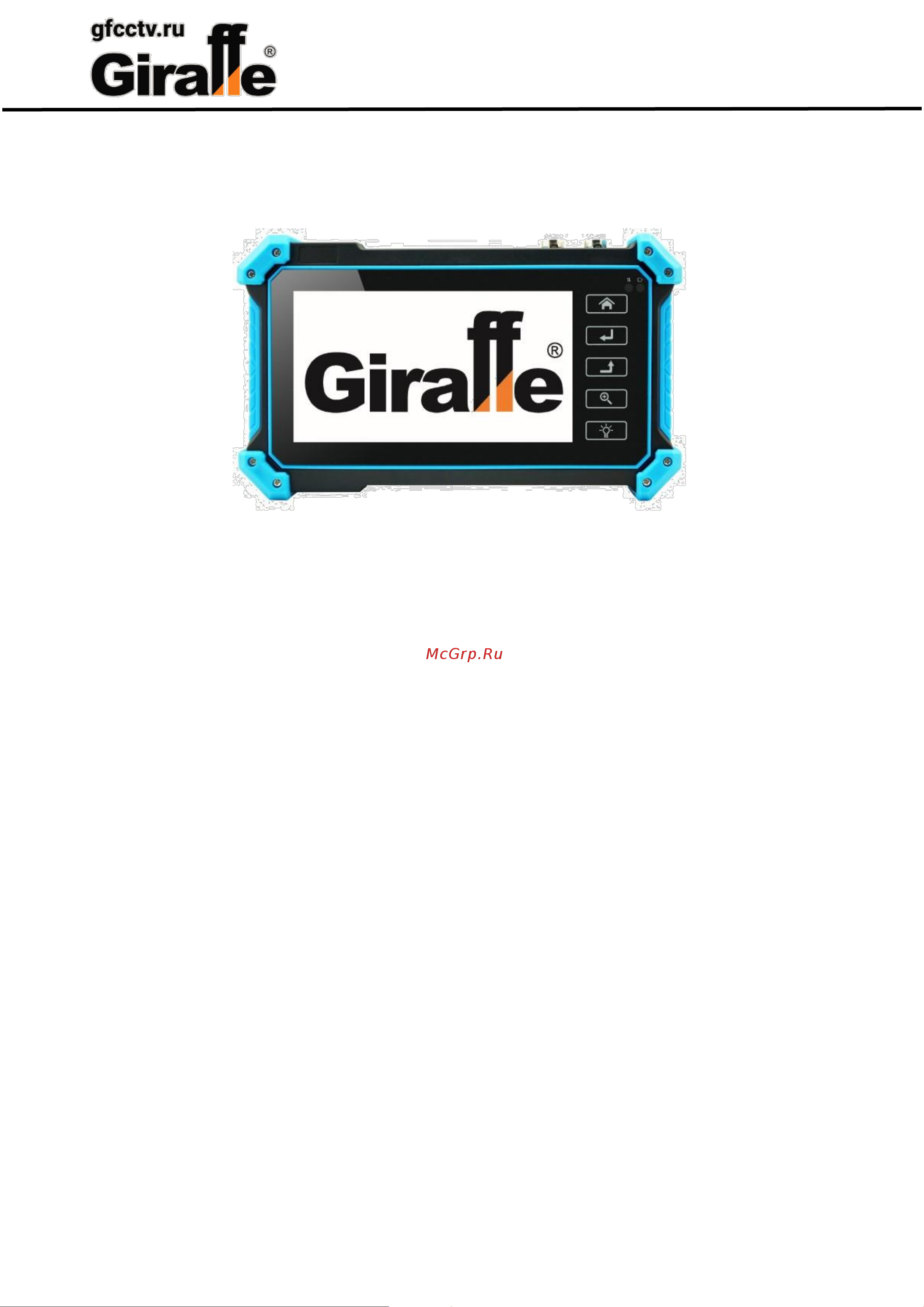 Giraffe GF-AM432TSR gf0634 Паспорт онлайн