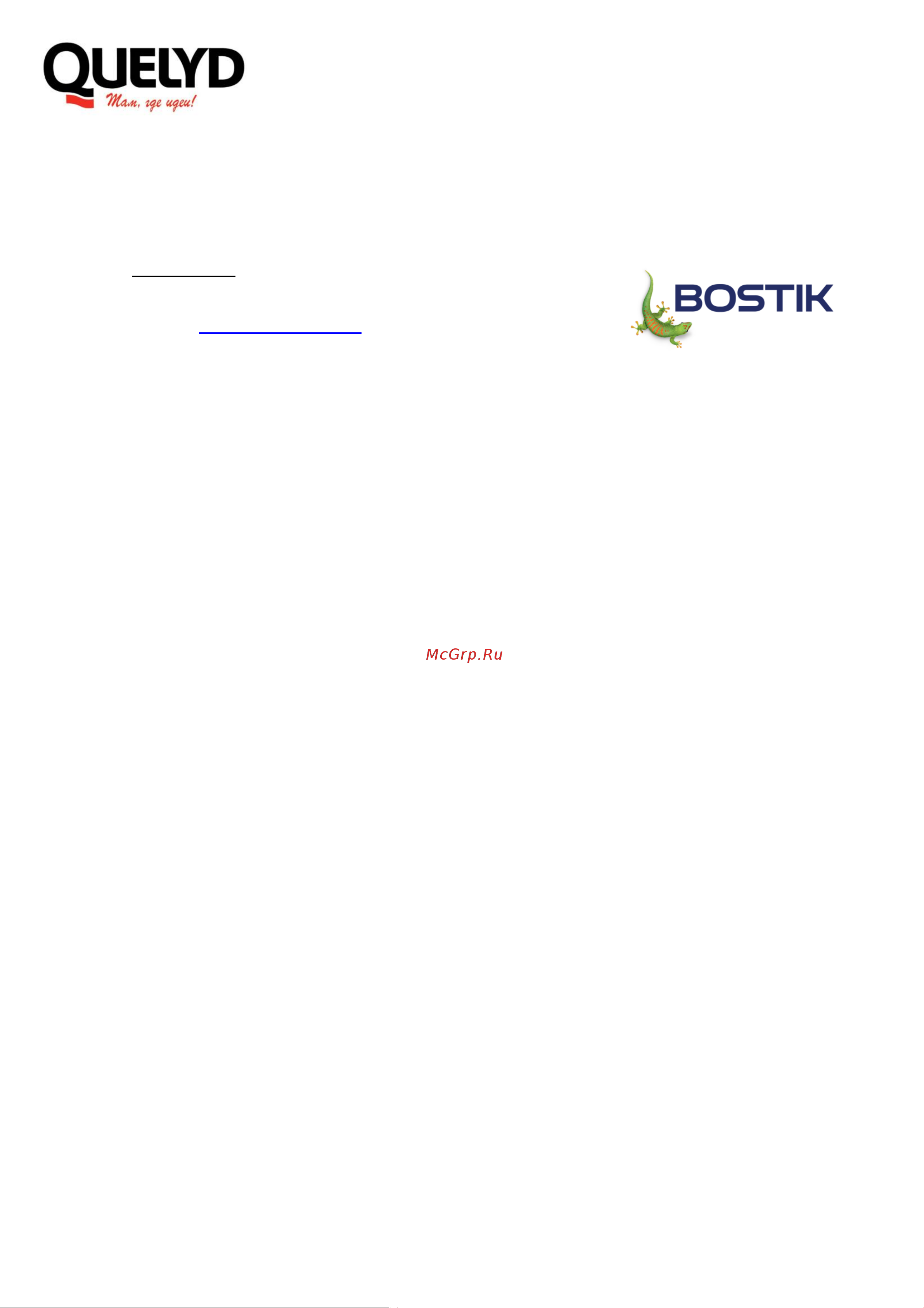 Quelyd MASTIFIX Декор 1.7 кг 50010082 Техническая информация онлайн [3/3] 823342