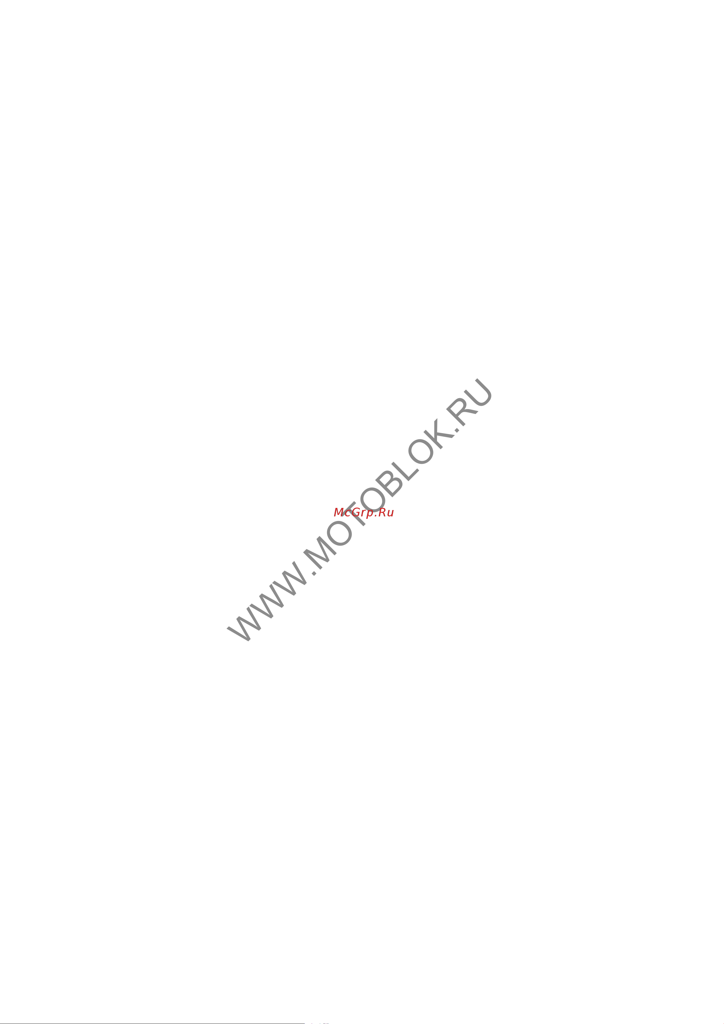 НЕВА Мототехника МК100-ZS (GB200) 4650002230323 Инструкция к НЕВА Мототехника МК100-ZS (GB200) 4650002230323 онлайн [2/30] 823658