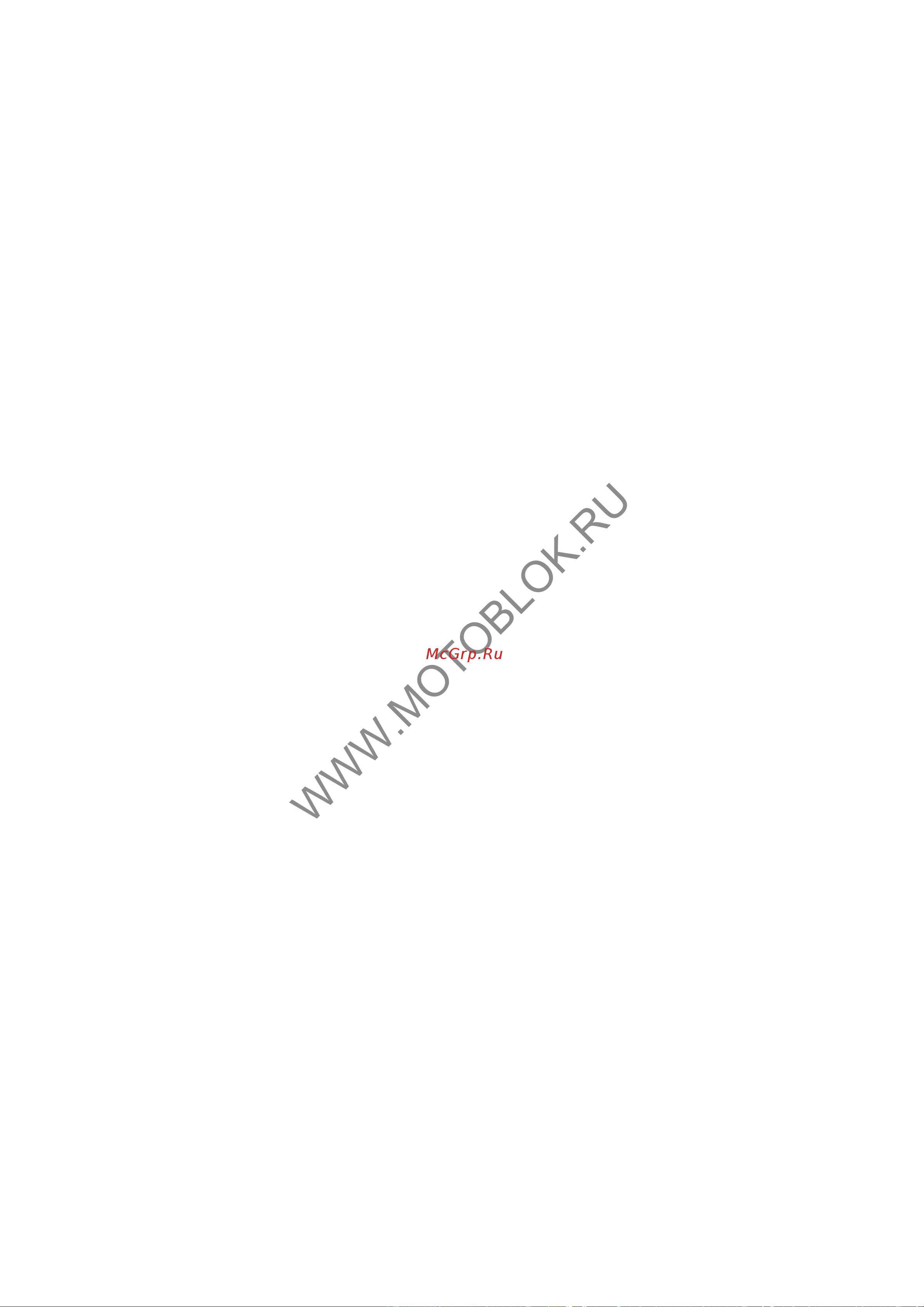 НЕВА Мототехника МК100-ZS (GB200) 4650002230323 Инструкция к НЕВА Мототехника МК100-ZS (GB200) 4650002230323 онлайн [20/30] 823658