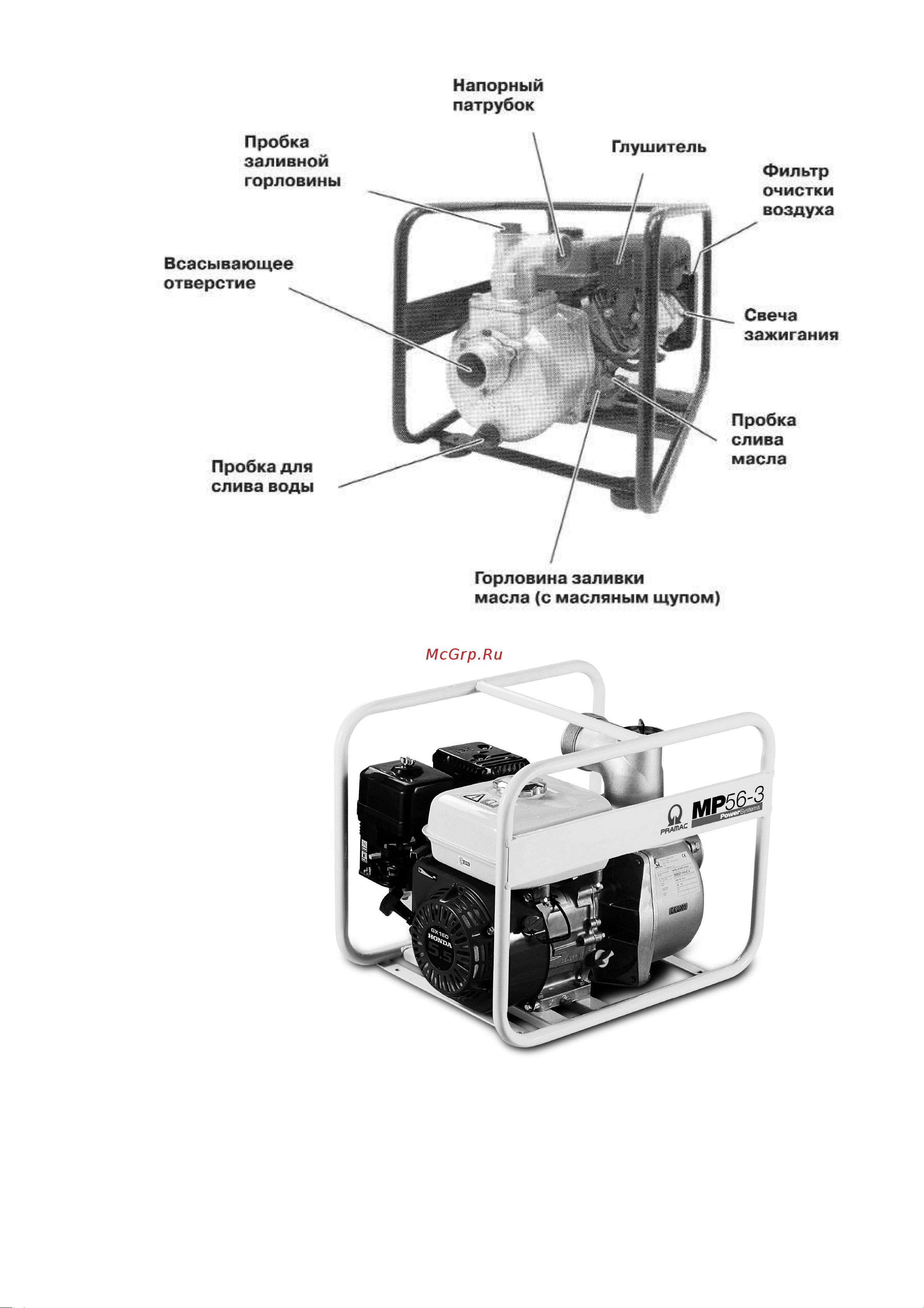 Pramac TMP65-3 FC650GXI000 Инструкция к Pramac TMP65-3 FC650GXI000 онлайн [3/8] 823737