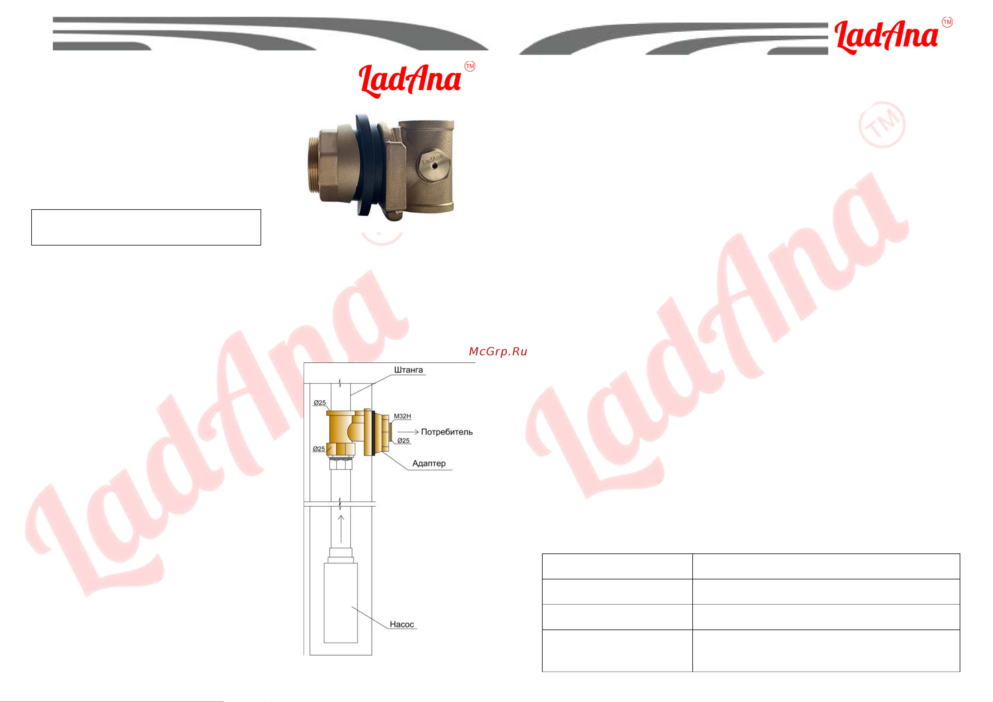 LadAna 100605029 Руководство по эксплуатации онлайн