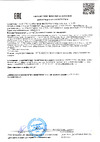 RGK DM-50 с поверкой 721470 Декларация о соответствии DM-50