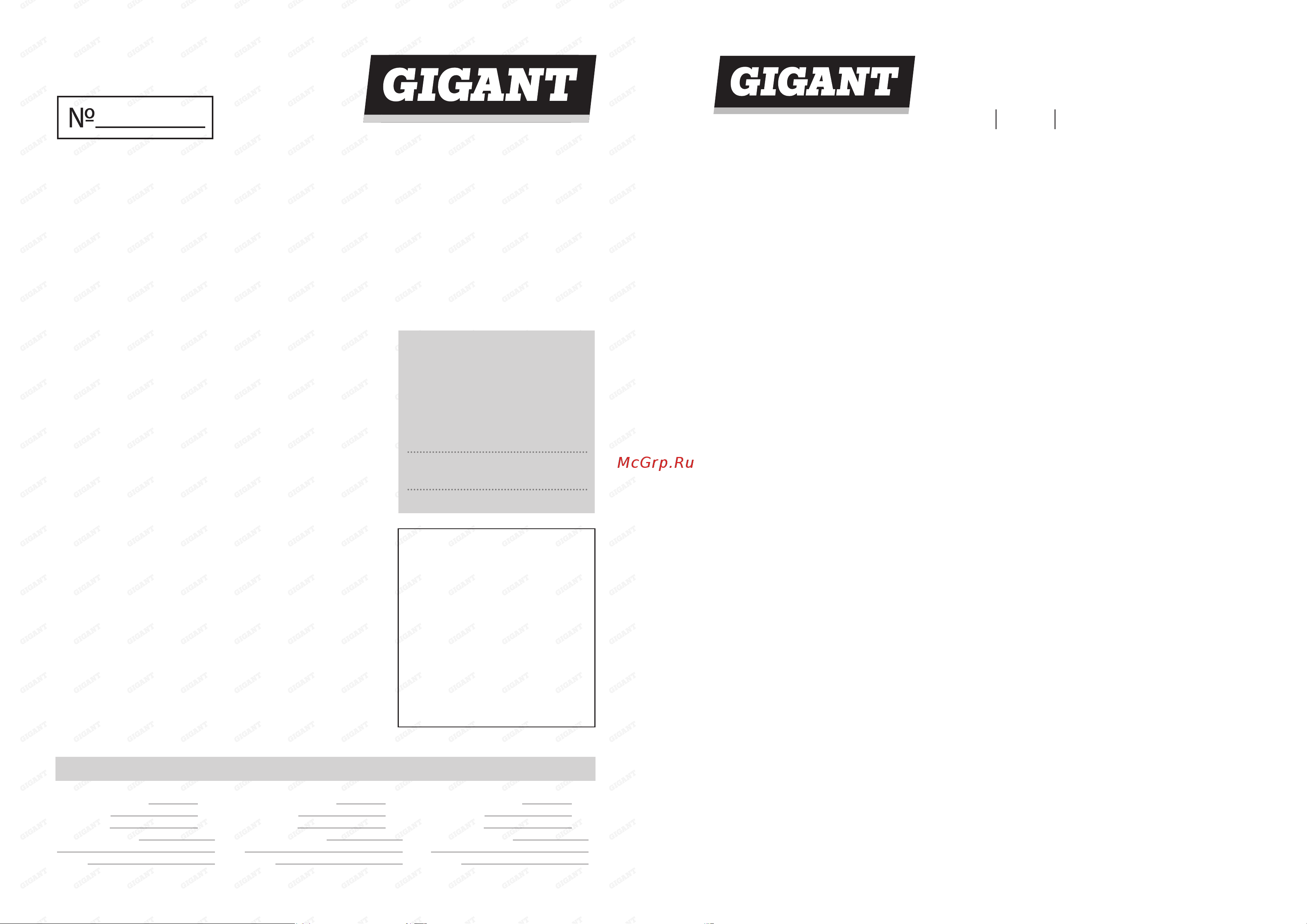 Gigant HL-04 Инструкция онлайн