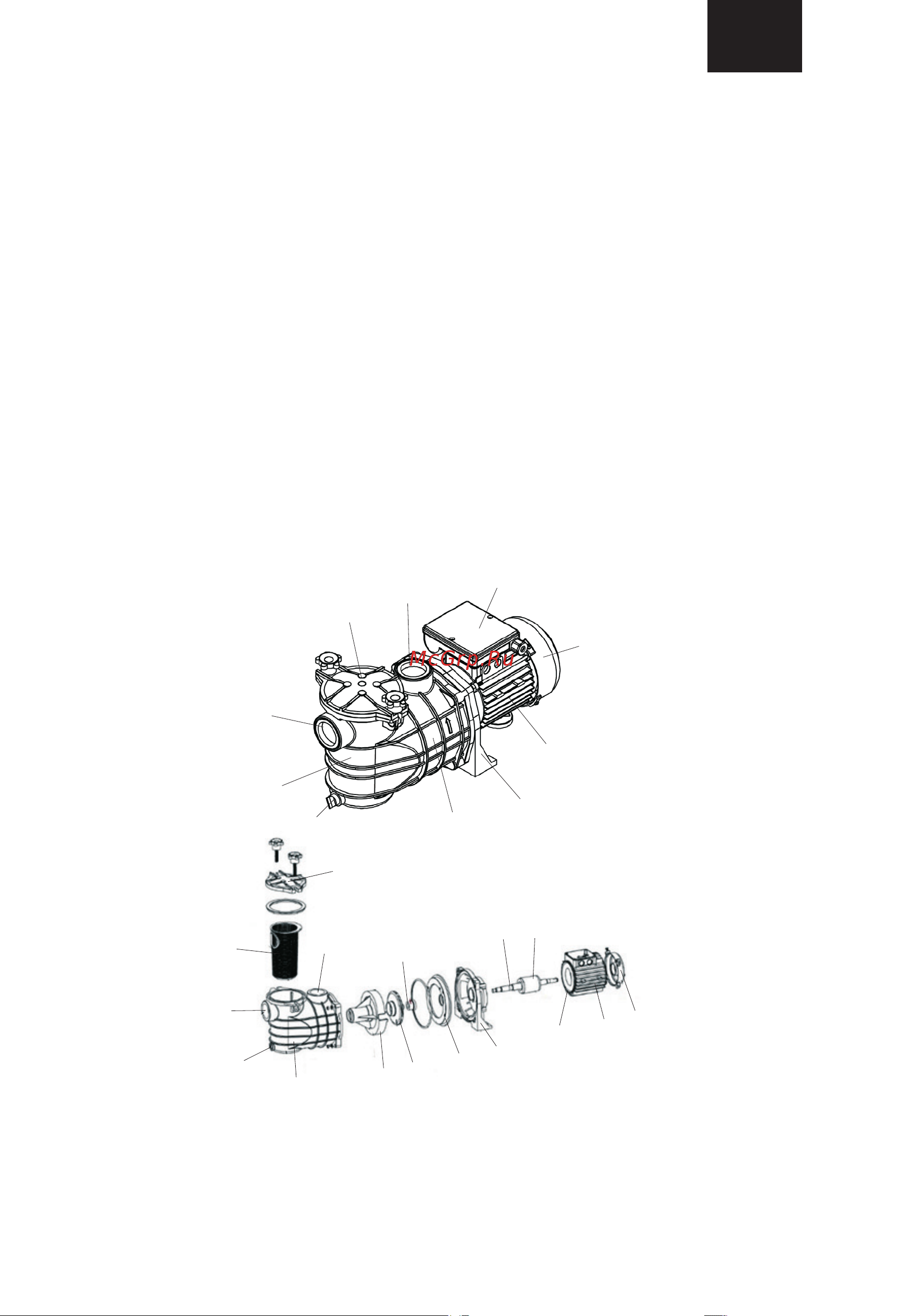 Unipump JET POOL HCP250 91009 Руководство по монтажу онлайн [13/26] 825985