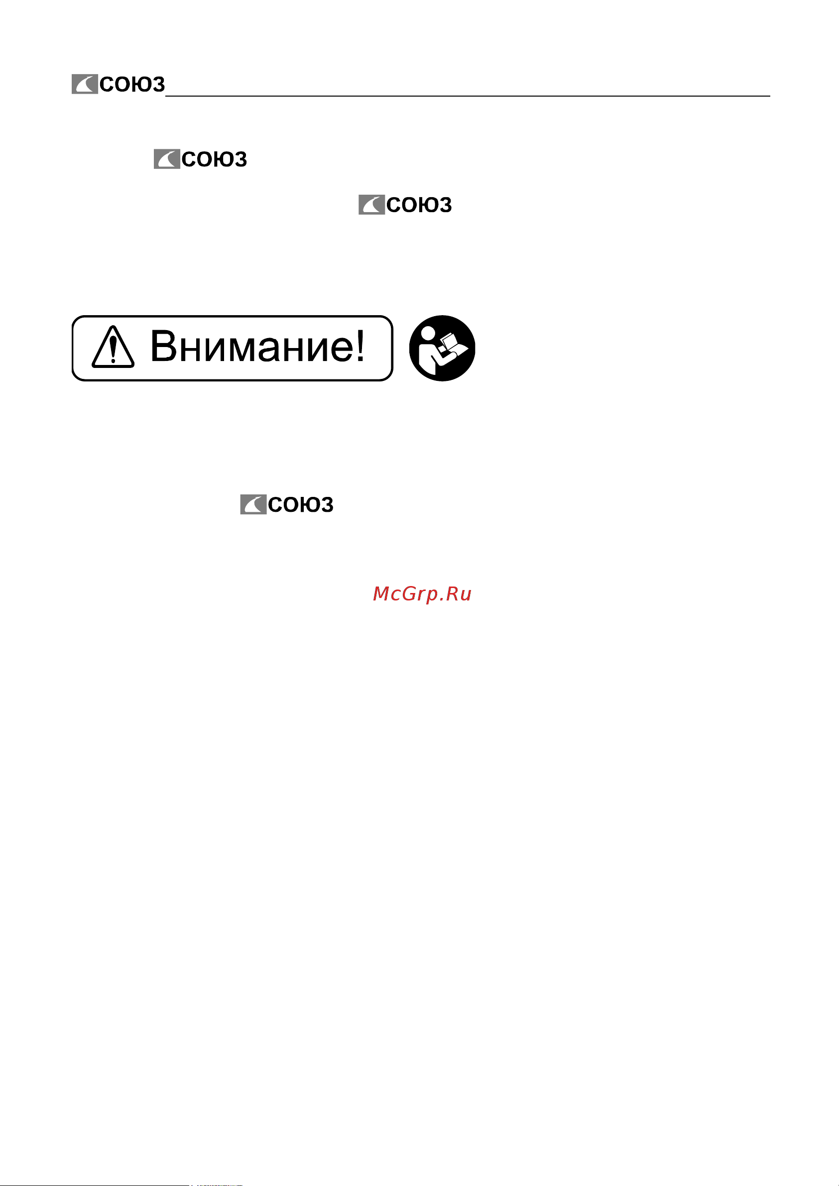 СОЮЗ НГС-9742ВС Инструкция к Союз НГС-9742ВС онлайн [3/13] 826144