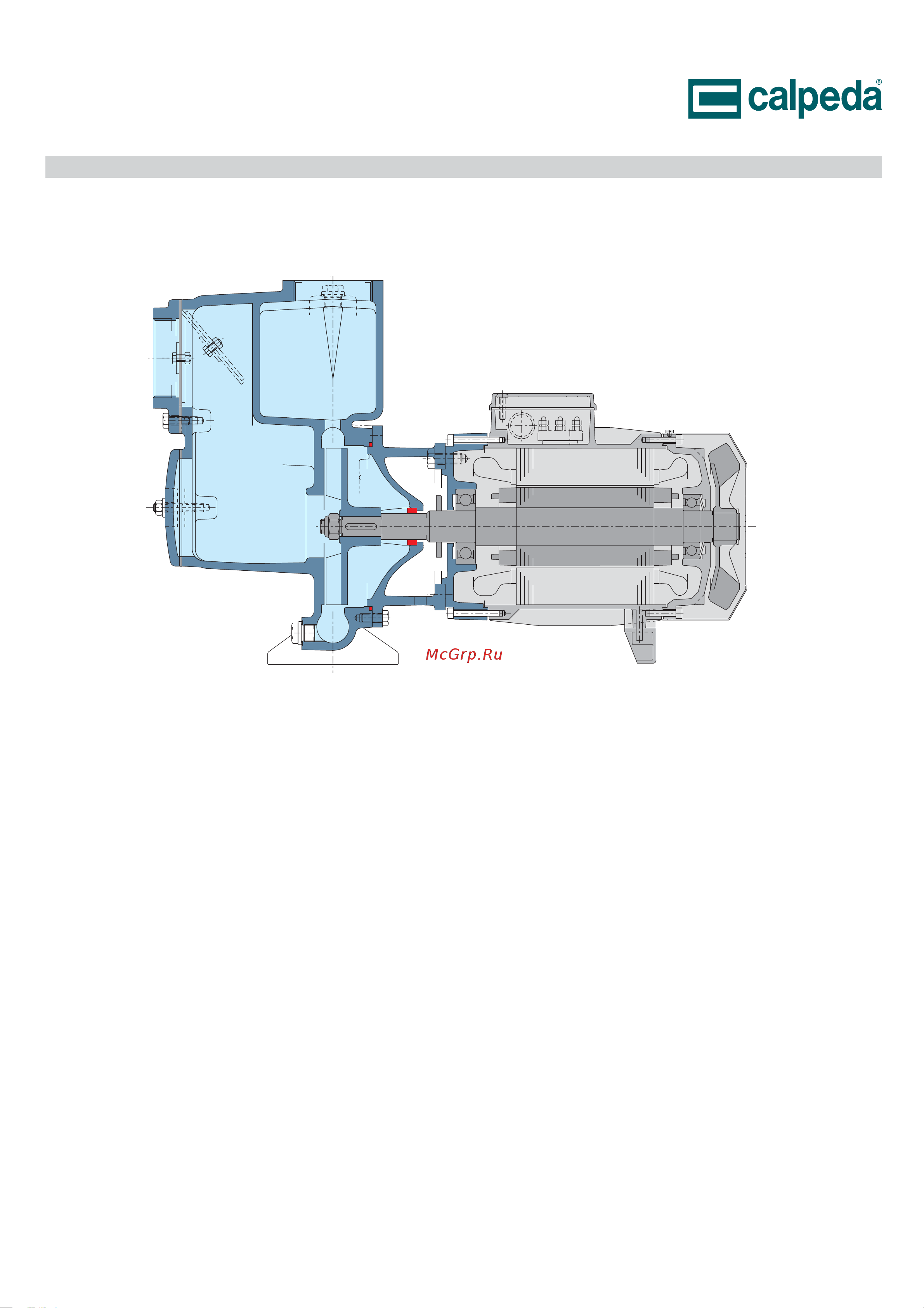 CALPEDA A 40-110A/B 230/400/50 Hz 60F00382000 Расширенное описание онлайн [6/6] 865546