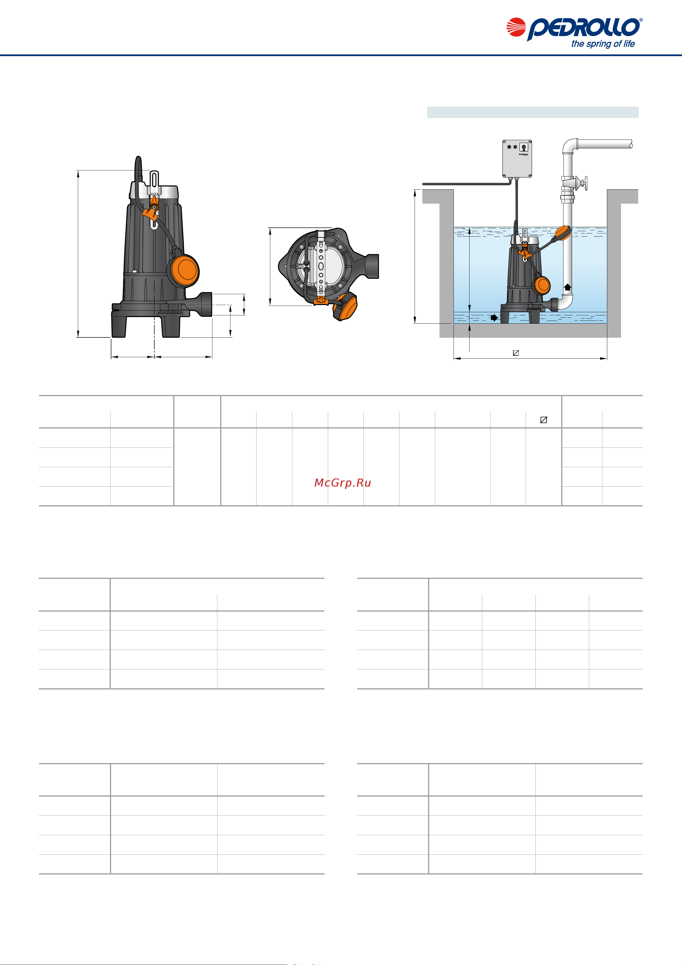 Pedrollo TRITUS TR 1.5 48SHT02A Расширенное описание онлайн [4/8] 826261