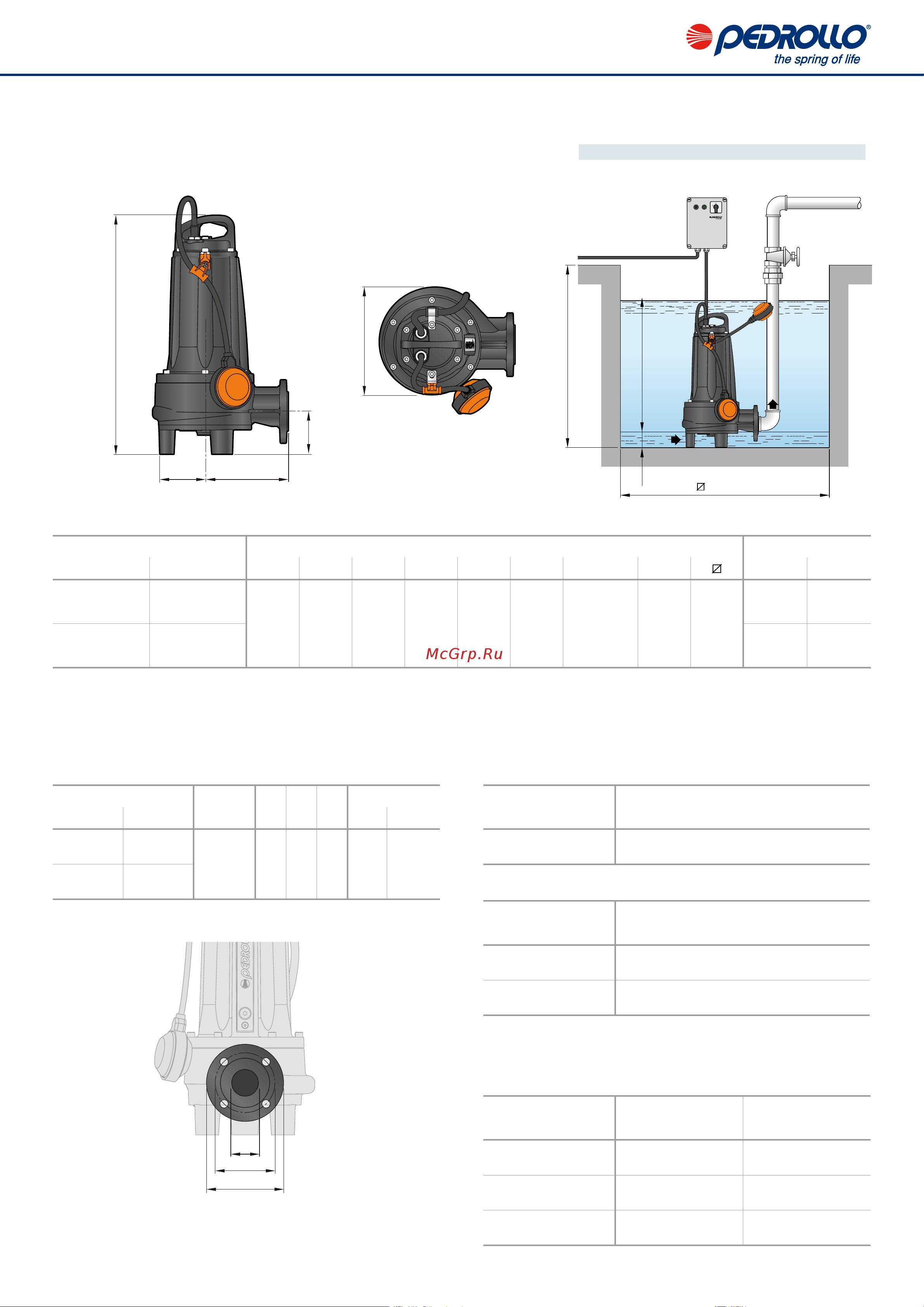 Pedrollo TRITUS TR 1.5 48SHT02A Расширенное описание онлайн [6/8] 826261