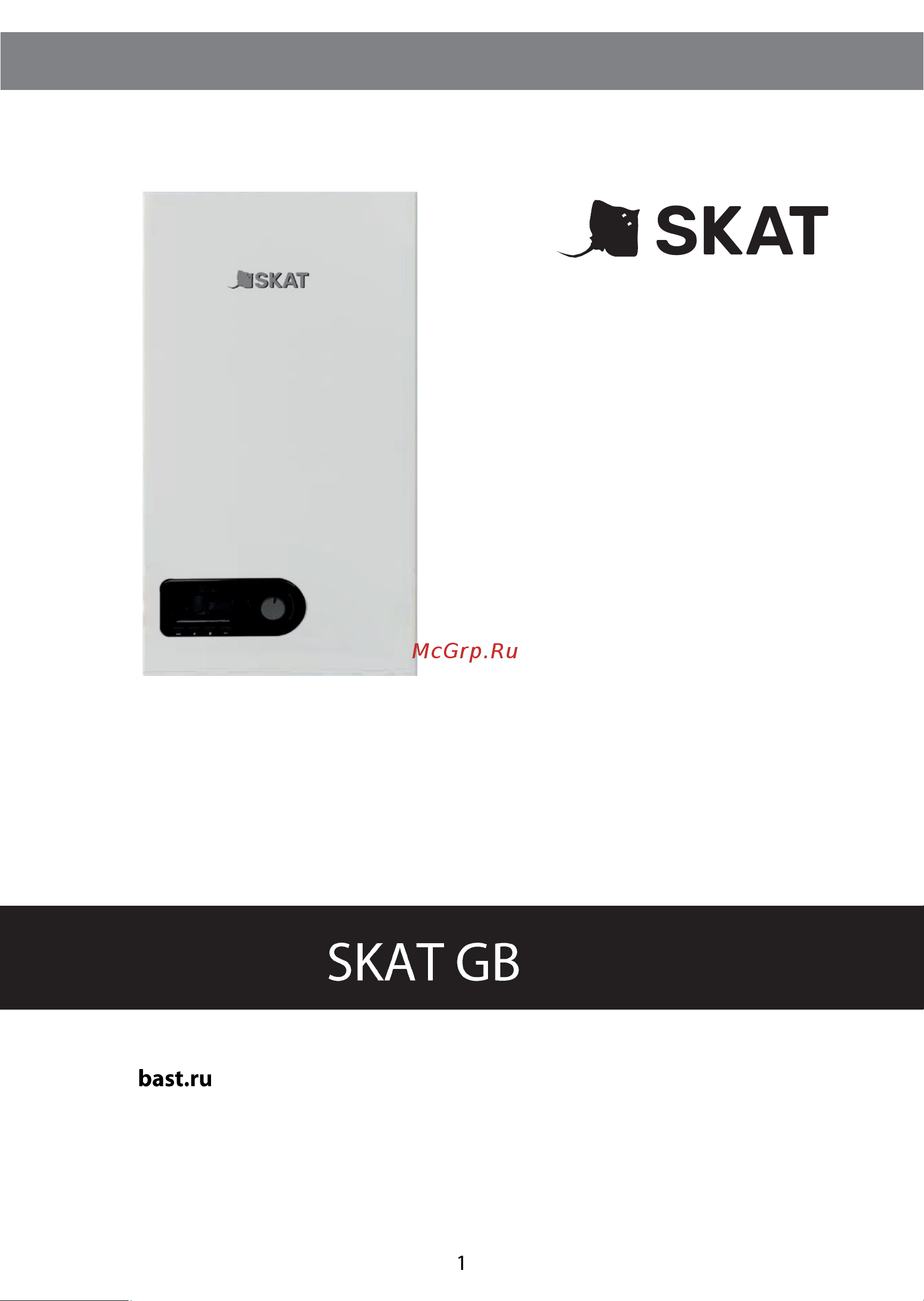 Skat GB 24 4119 Паспорт на прибор онлайн