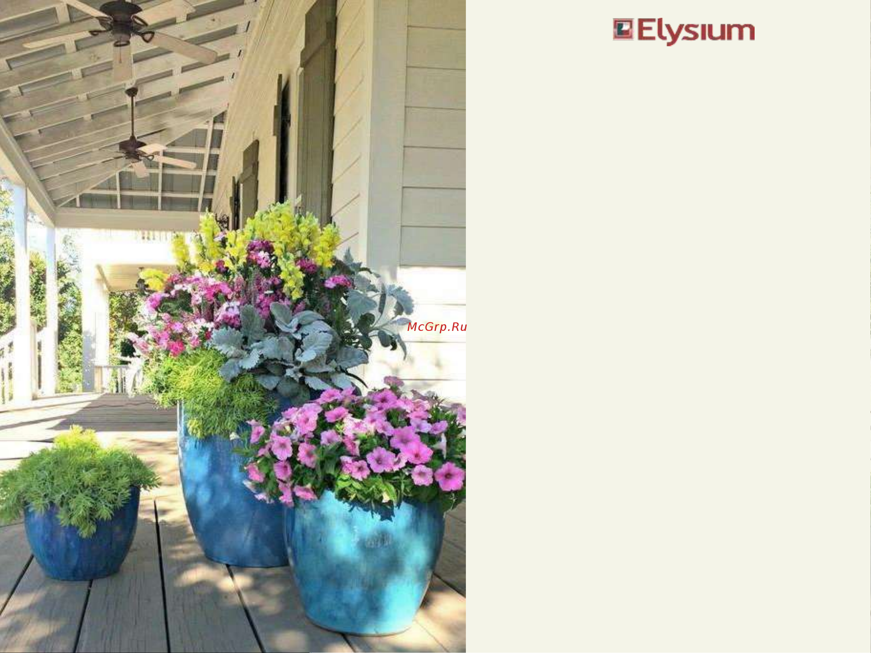 Elysium 32605 Инструкция к товару онлайн