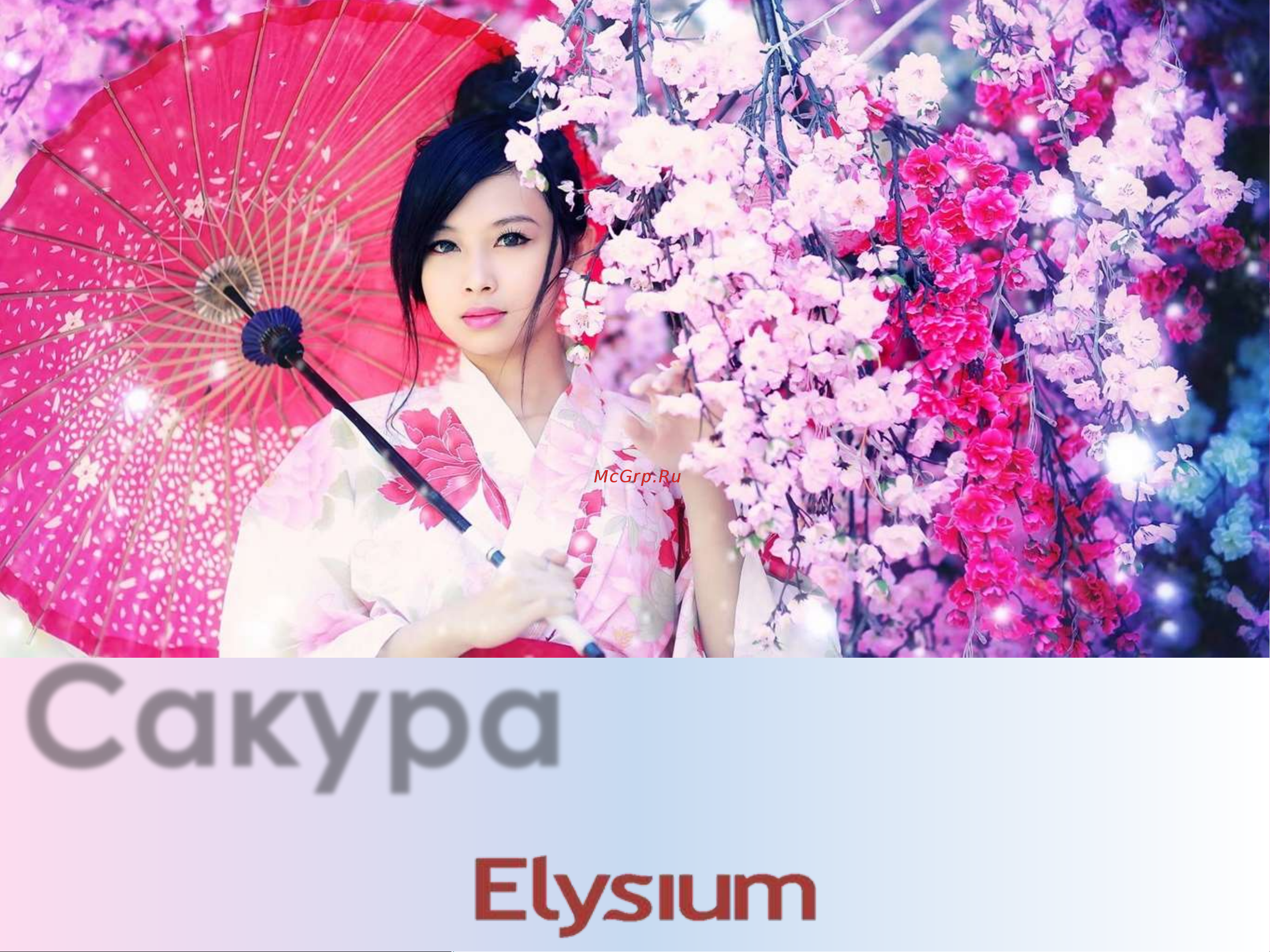 Elysium 94726 Инструкция к товару онлайн