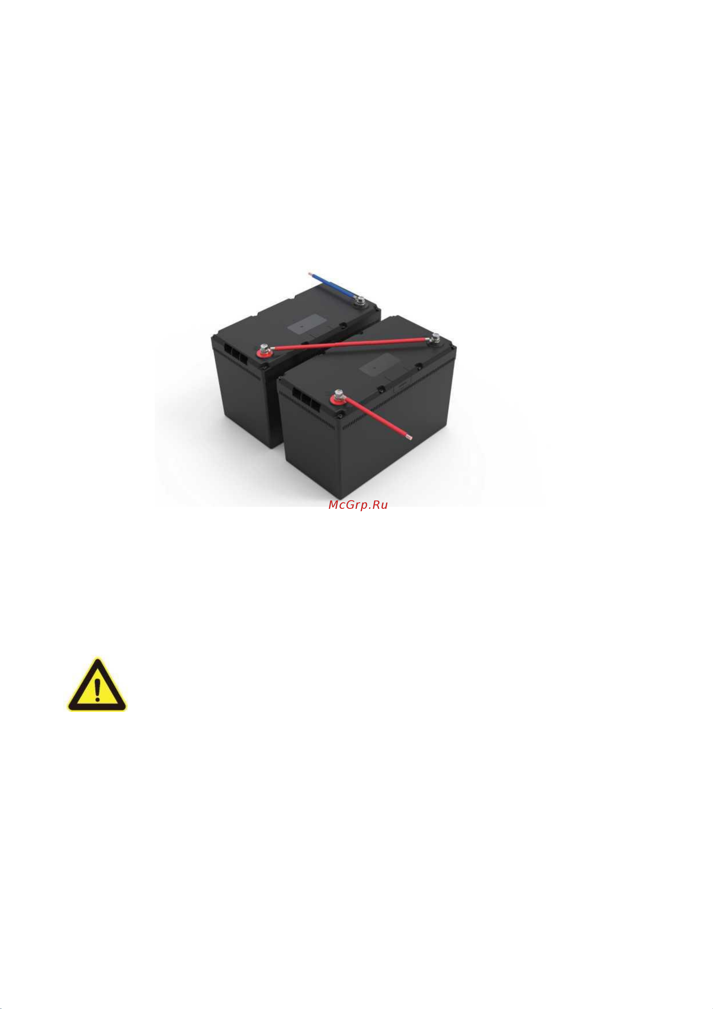 Ritar R-LFP25.6V50AH Инструкция онлайн [10/19] 829182