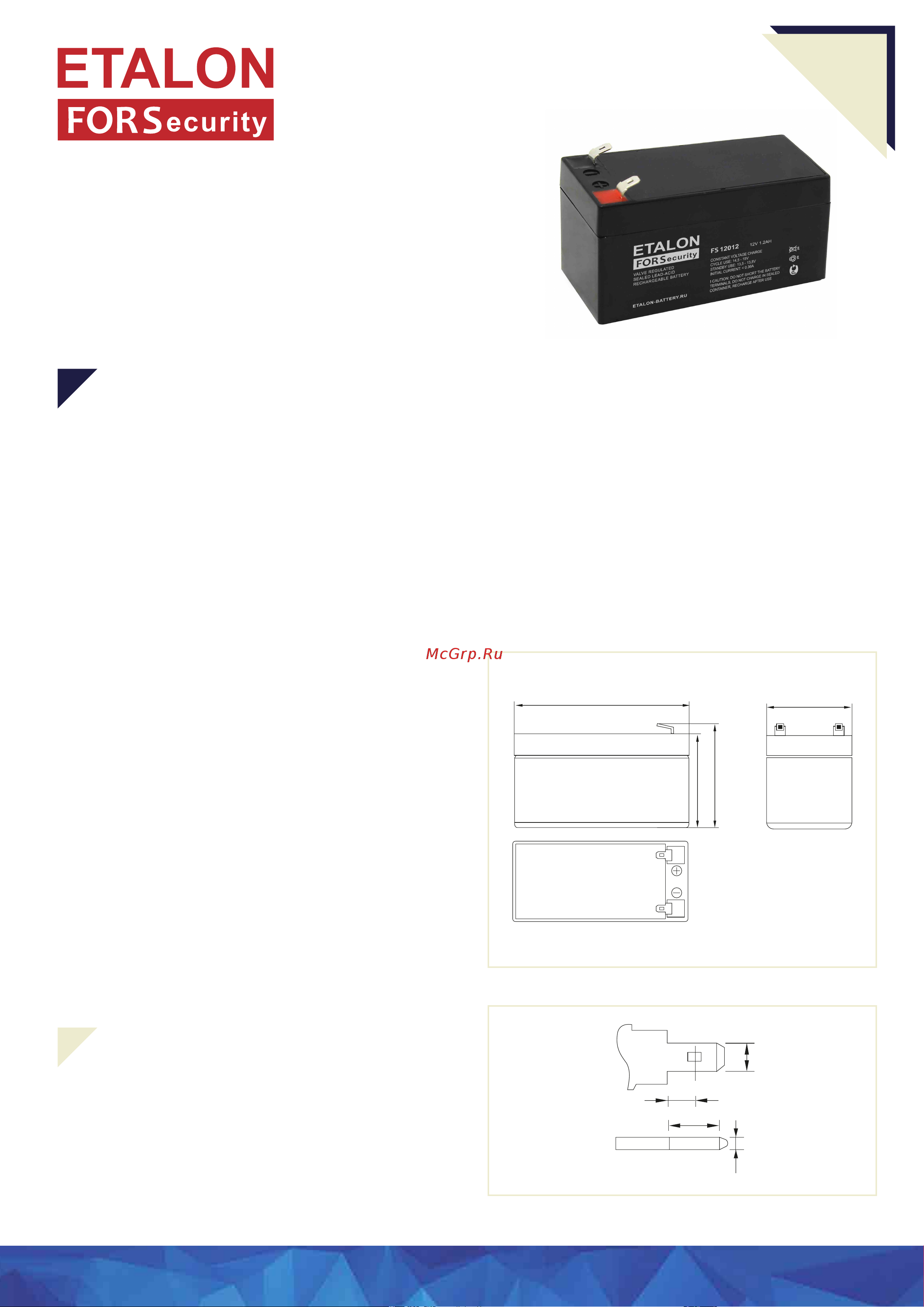 ETALON FS 100-12/012S Техническое описание онлайн