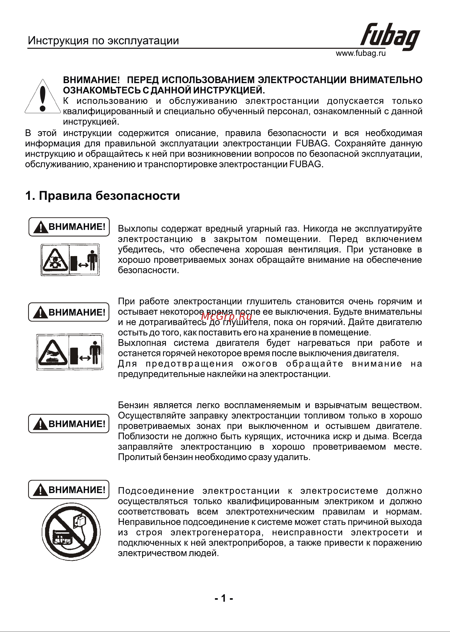 Fubag BS 6600 A ES с возможностью подключения блока автоматики Инструкция к товару онлайн [2/17] 830315
