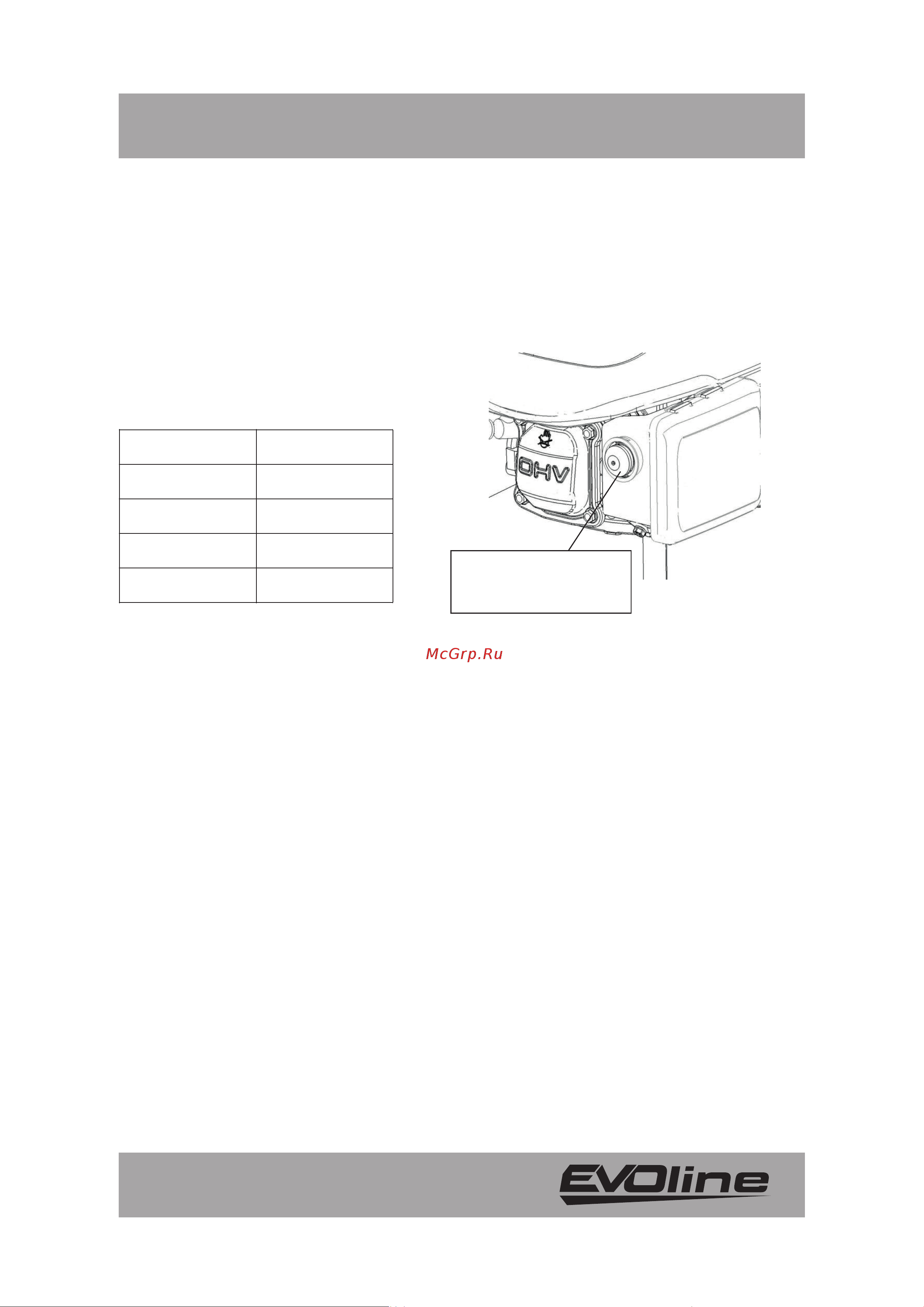 Evoline LMG46CP Инструкция онлайн [17/36] 867951