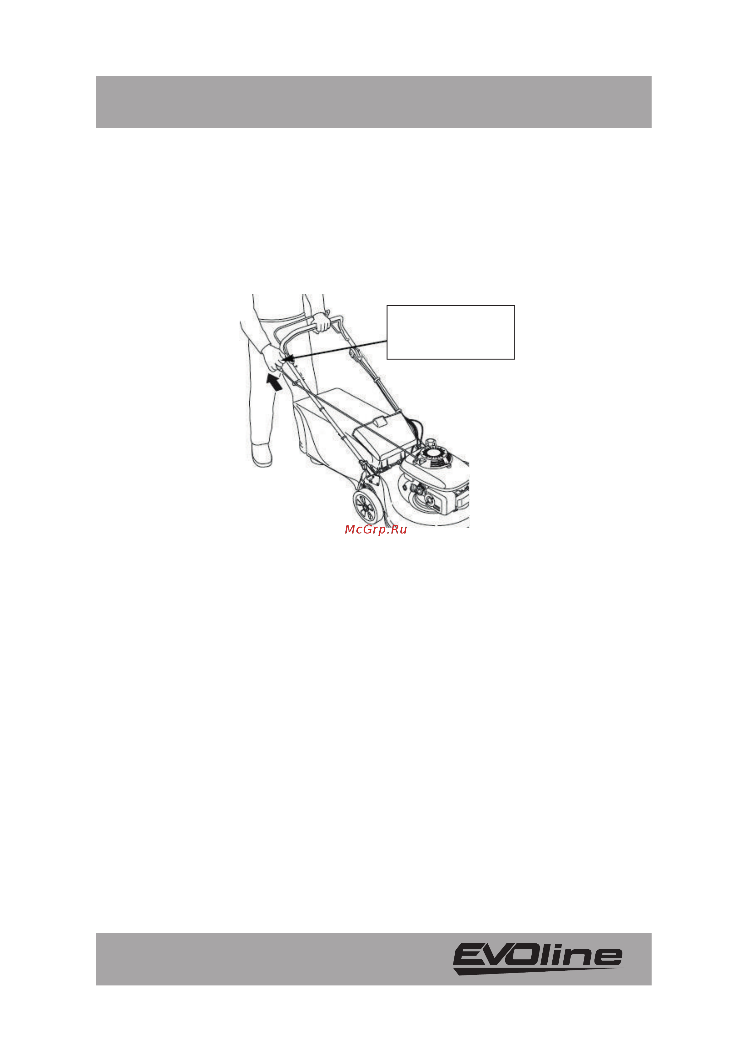 Evoline LMG42CP Инструкция онлайн [19/36] 867950