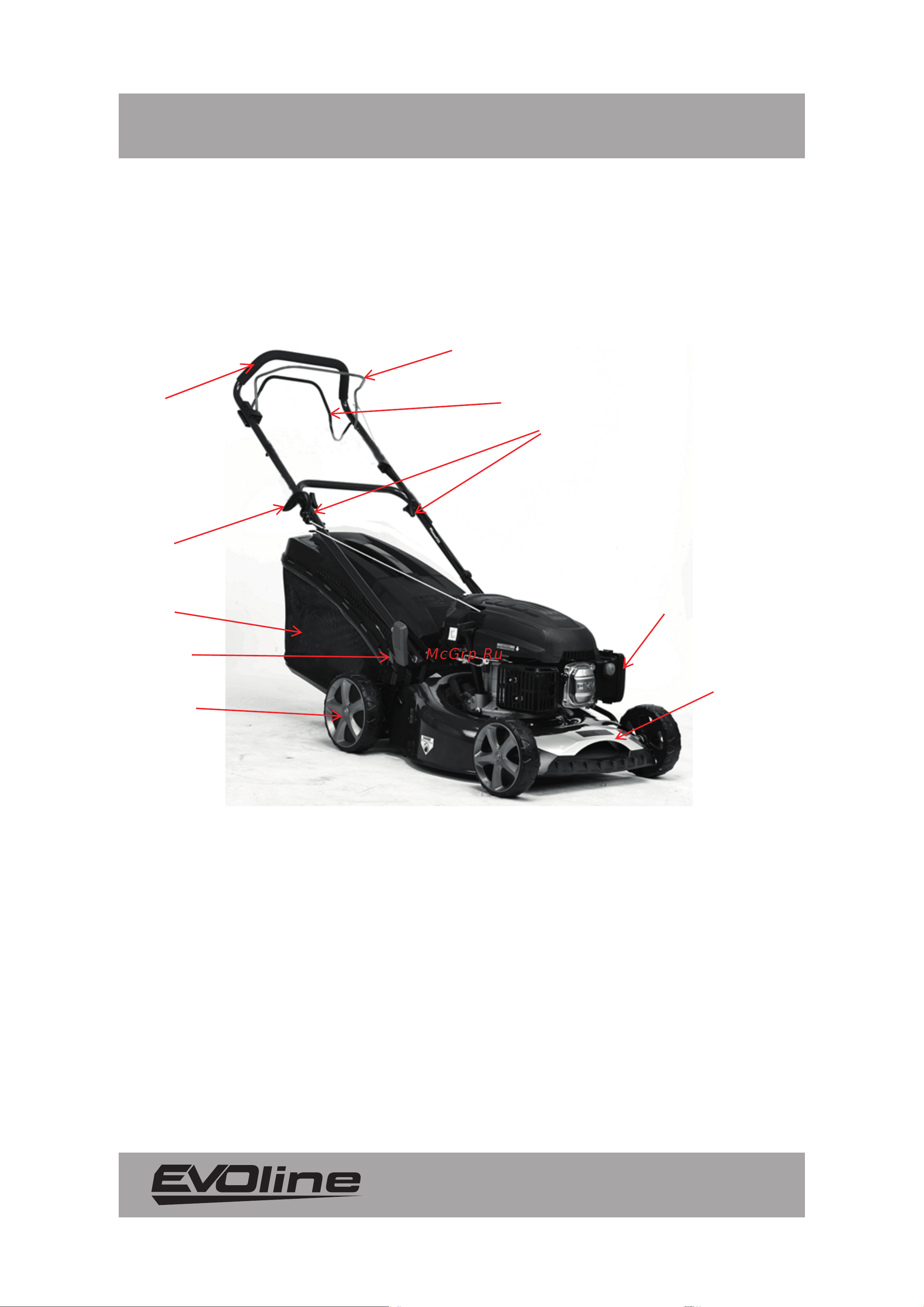 Evoline LMG46CP Инструкция онлайн [8/36] 867951