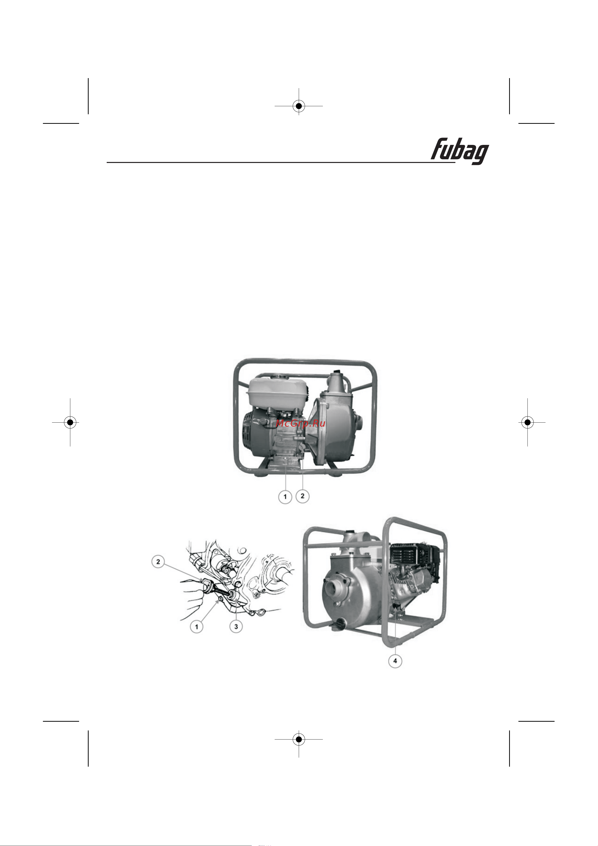 Fubag PG 80 H 838245 Инструкция к FUBAG PG 1000 838260 онлайн [5/12] 858678