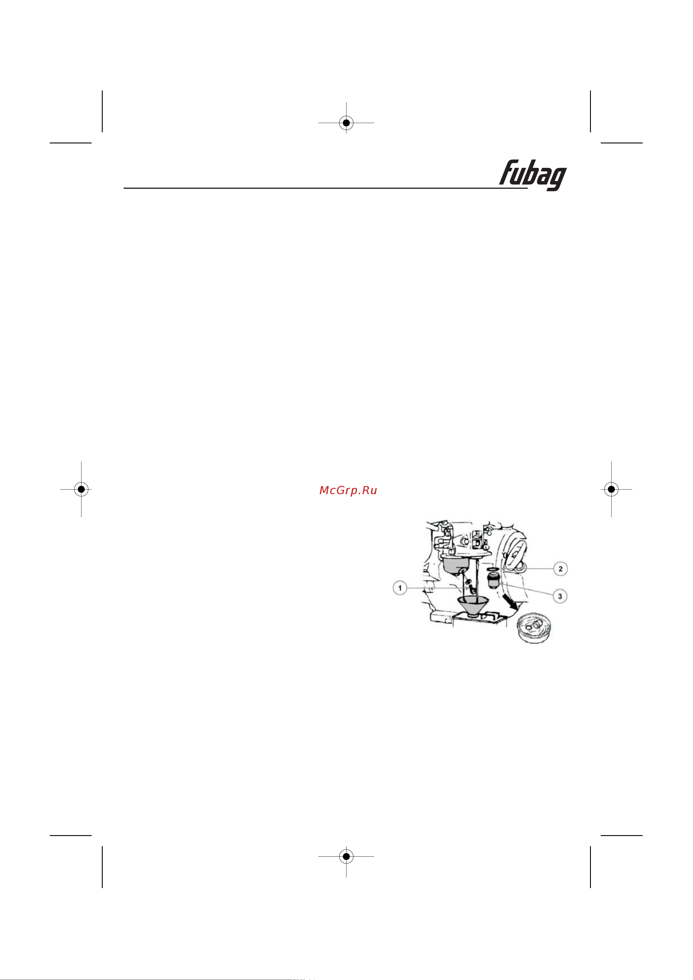 Fubag PG 1000 838751 Инструкция к FUBAG PG 1000 838260 онлайн [9/12] 830878