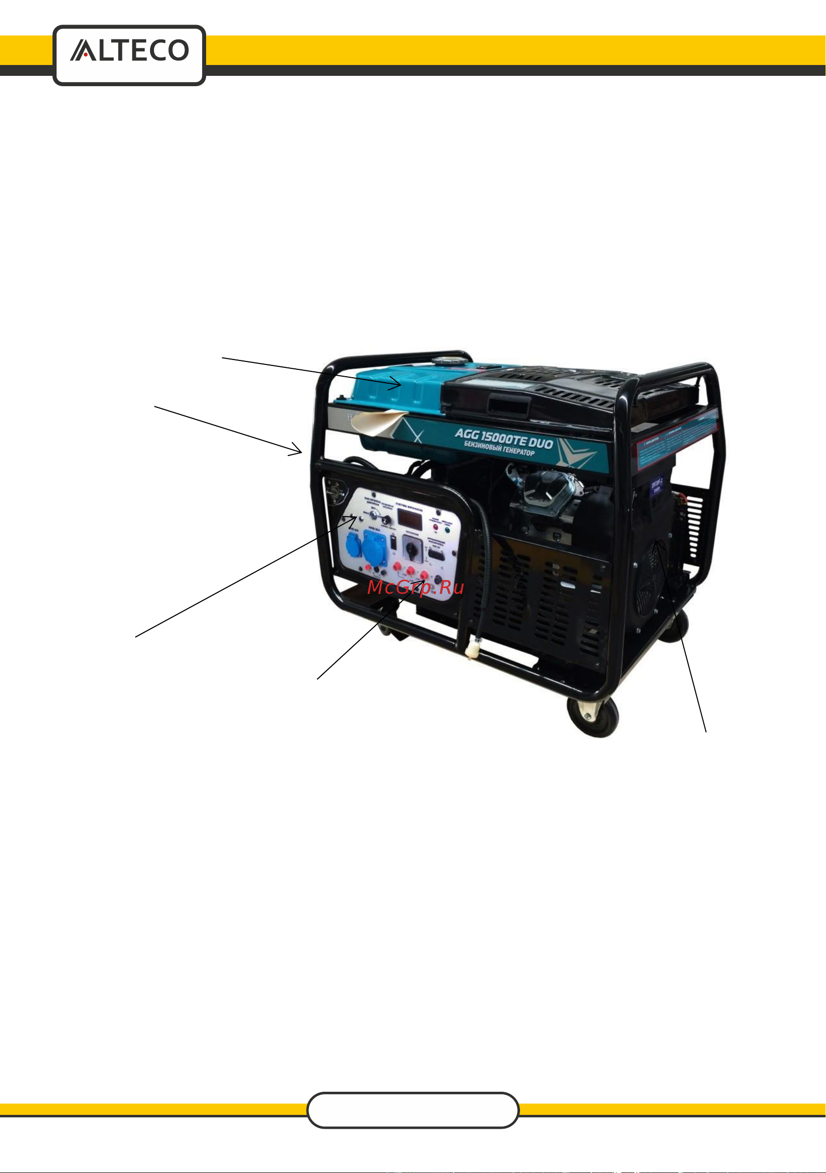 Alteco Professional AGG 15000TE Duo 17237 AGG15000 TE DUO Alteco онлайн [11/32] 831377