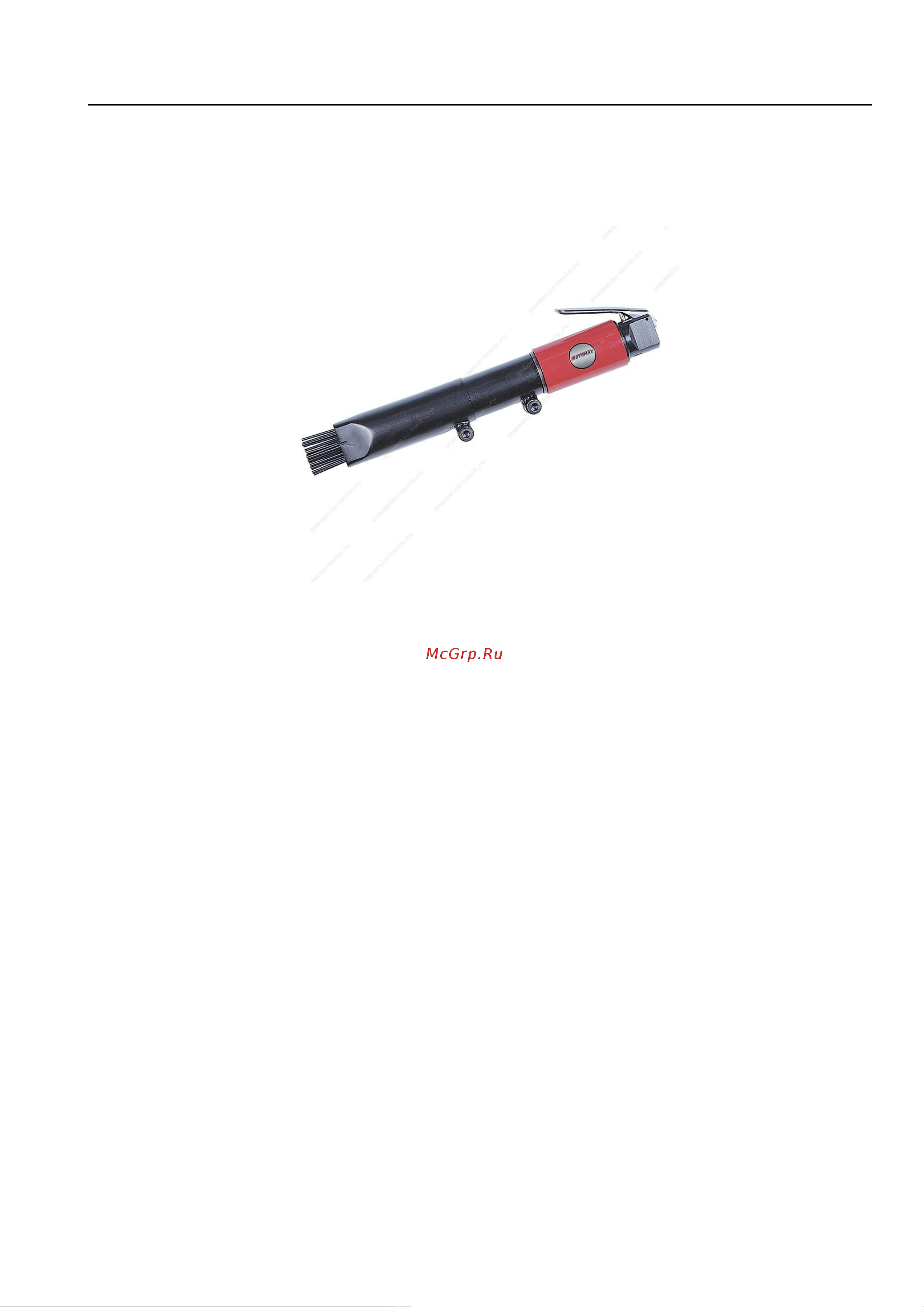 BYEMAX BG-2100NS Инструкция онлайн