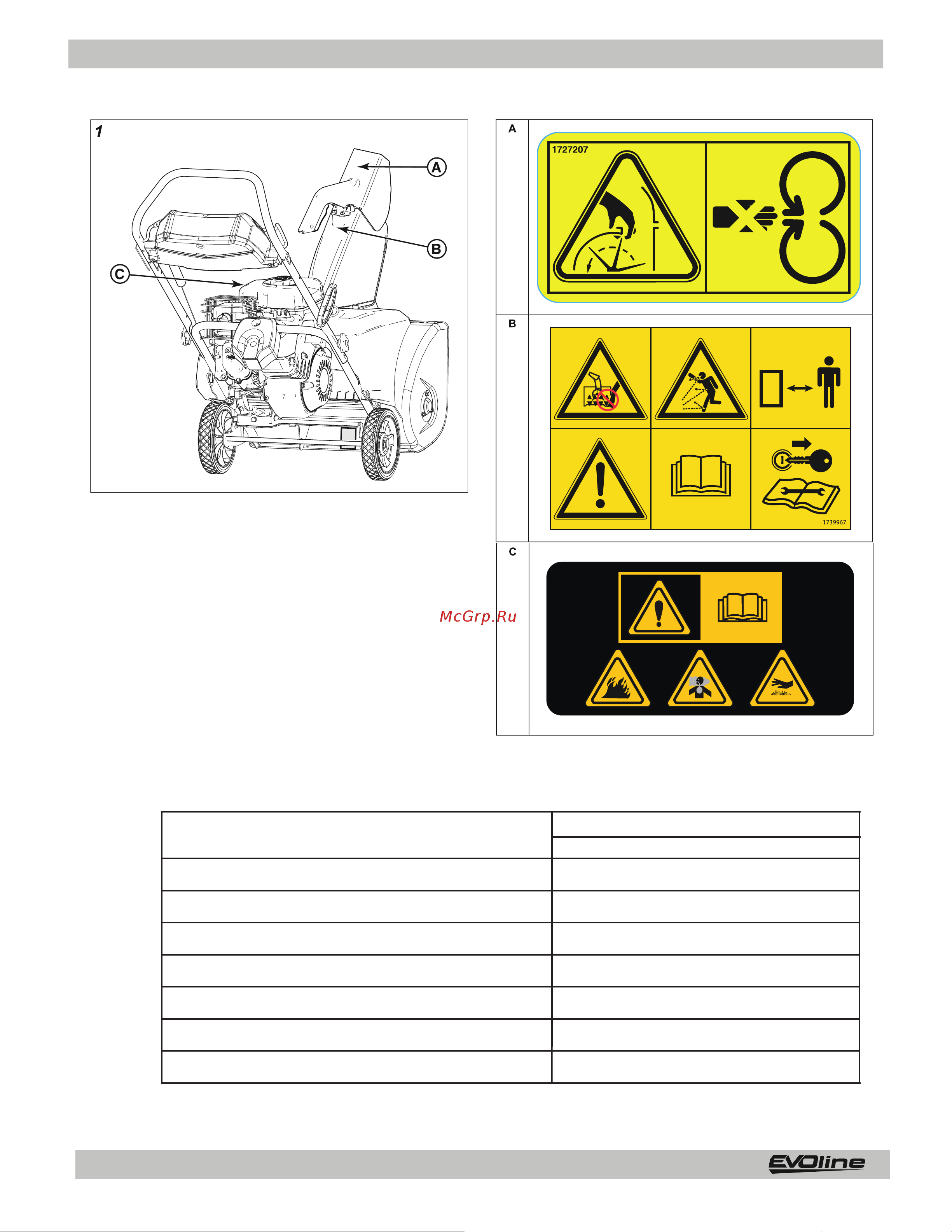 Evoline SBG 560 BE с двигателем BRIGGS & STRATTON специальной зимней серии SBG560BE Инструкция EVOline SBG 560 BE онлайн [4/20] 832308