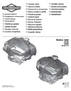Stiga Twinclip 50 SVEQ B 294513528/ST2 Инструкция к двигателю