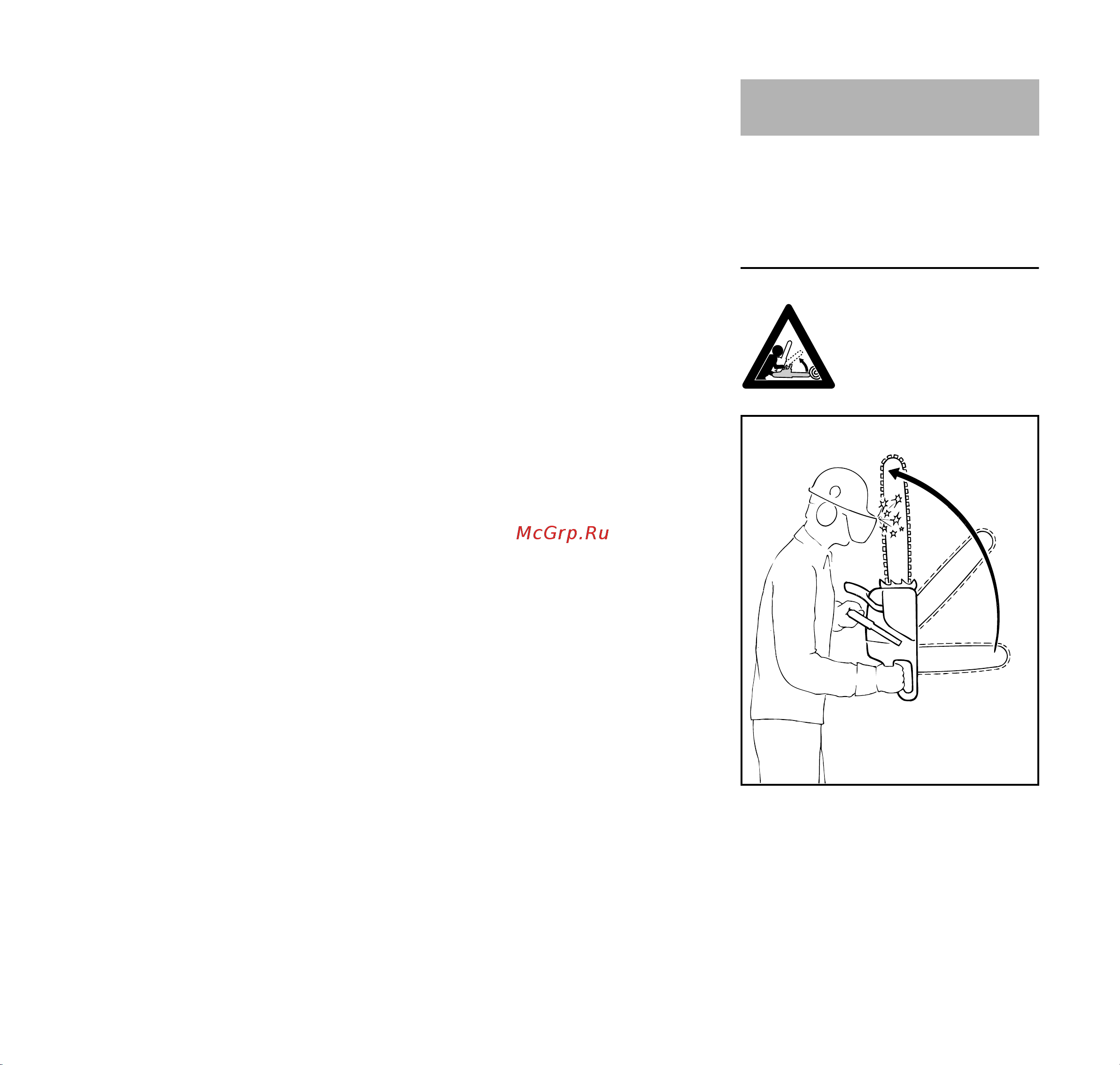 Stihl MS 260 11212000423 Инструкция к Stihl MS 260-16
