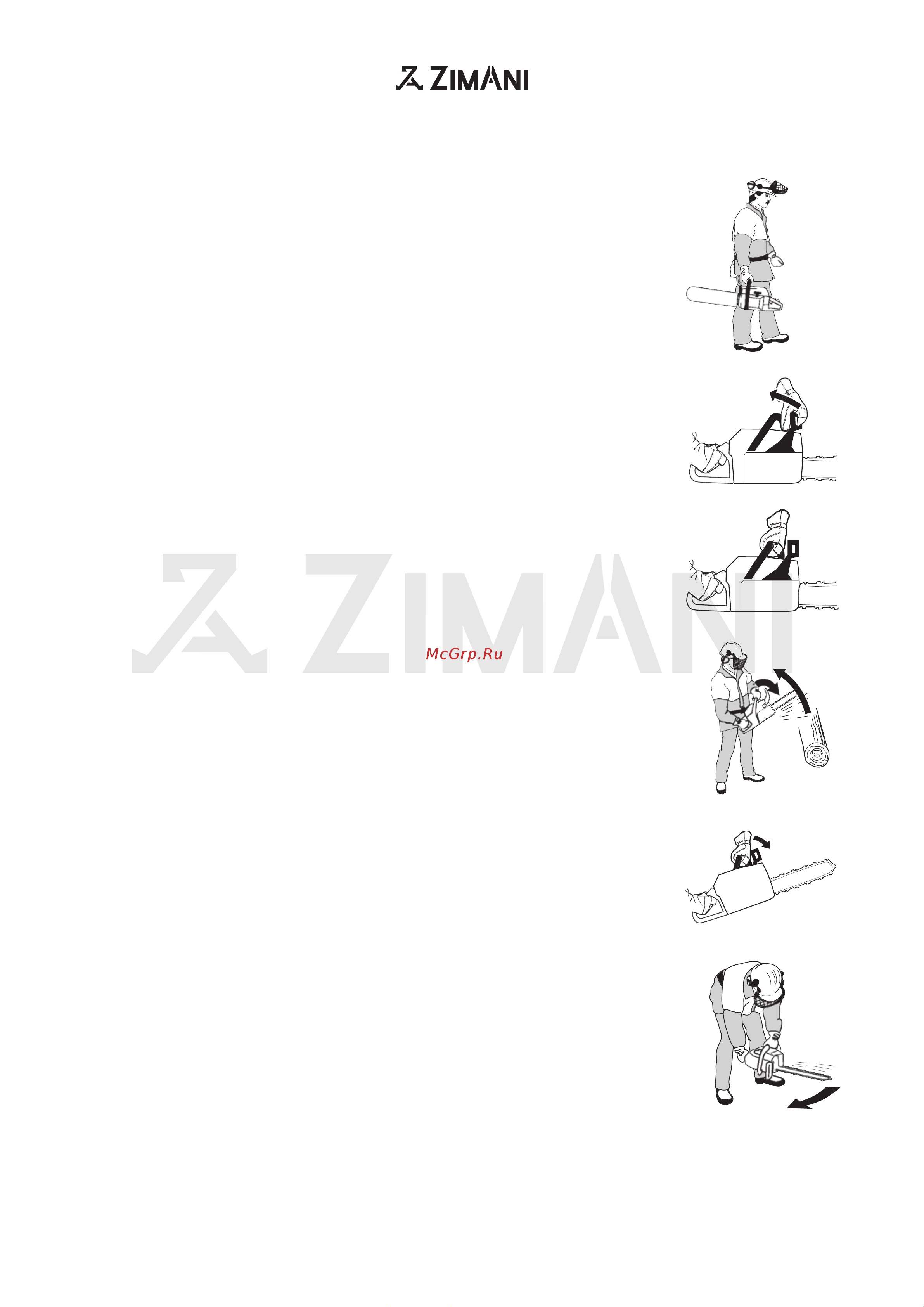 ZimAni 365 Pro 18