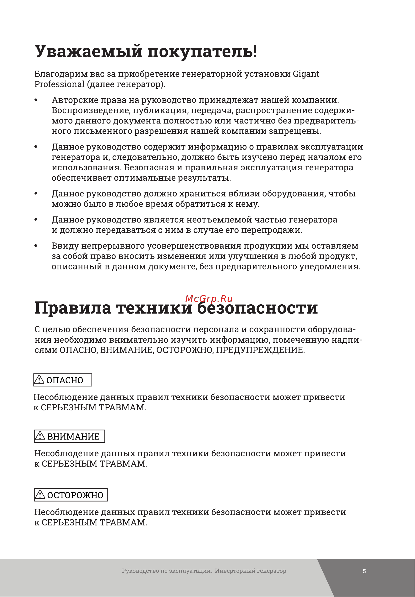 Gigant Professional GPIGL-2000 Инструкция к товару онлайн [5/48] 835110
