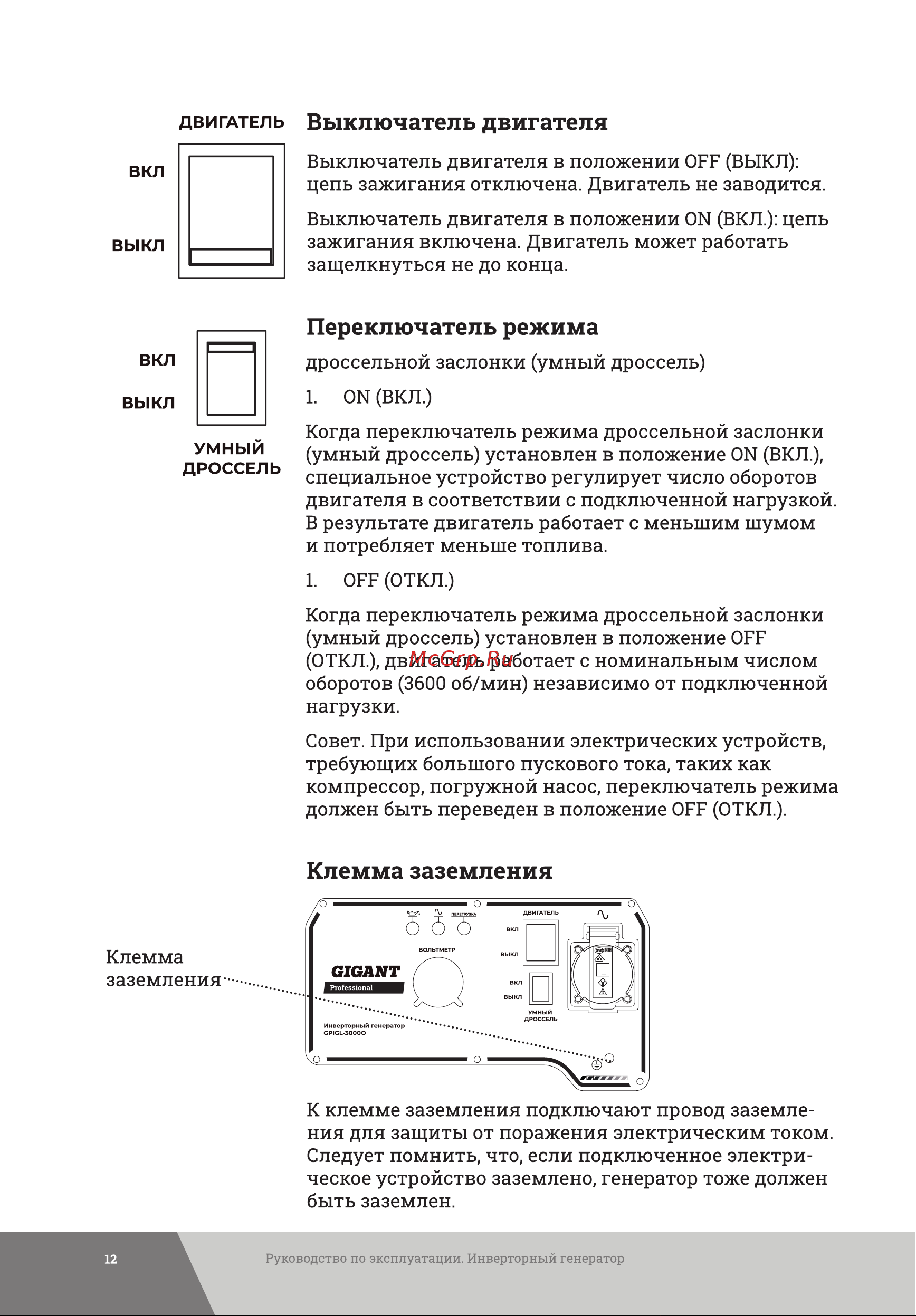 Gigant Professional GPIGL-3000O Инструкция к товару онлайн [12/34] 835111