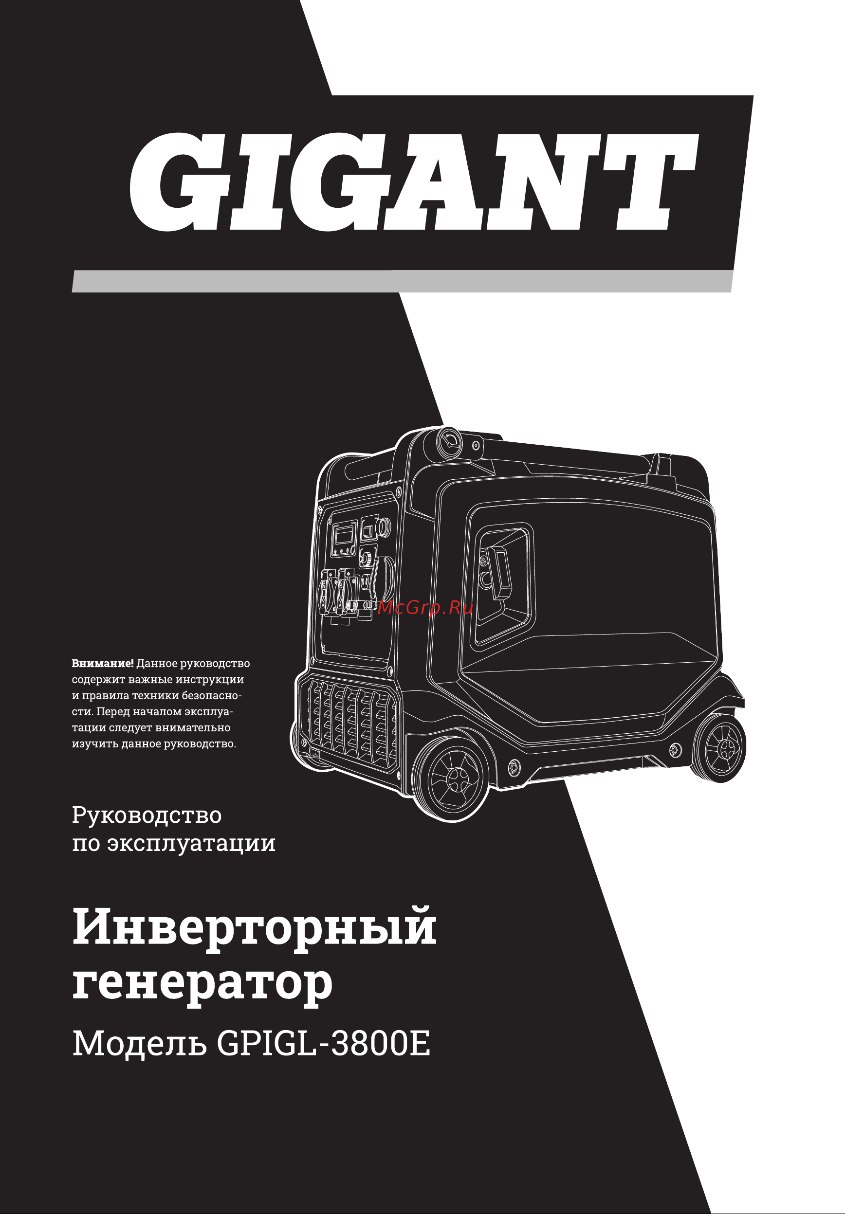 Gigant Professional GPIGL-3800E Инструкция к товару онлайн