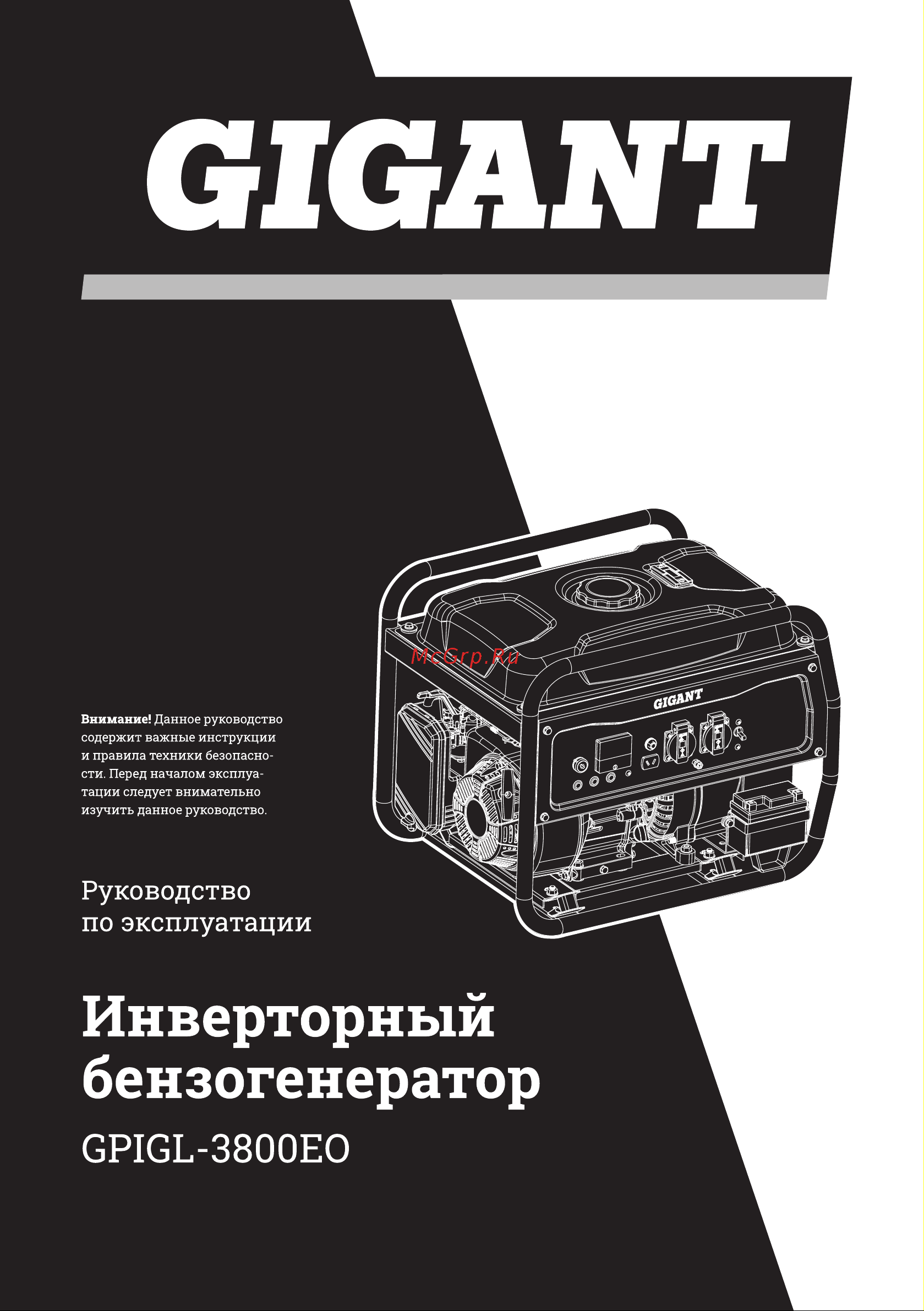 Gigant Professional GPIGL-3800EO Инструкция к товару онлайн