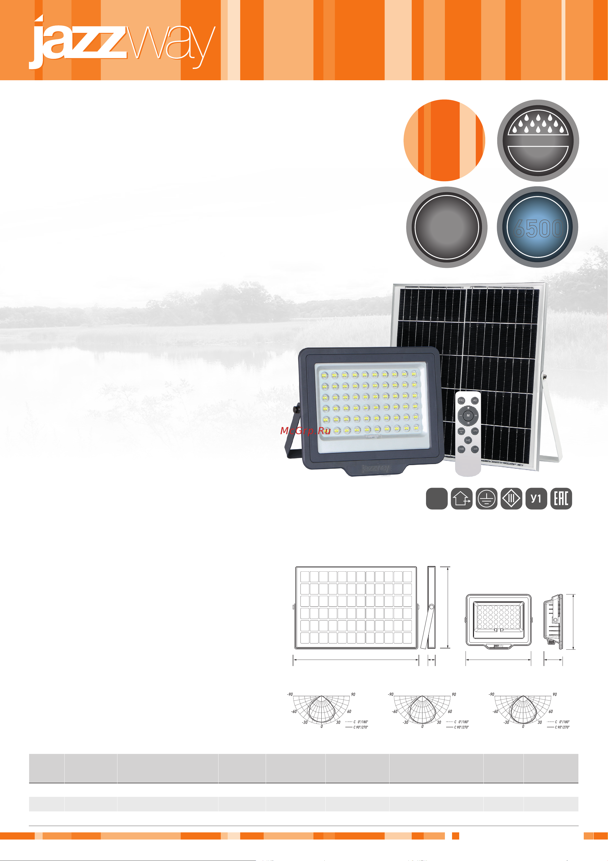 JazzWay с солнечными панелями PFL SOLAR 100 6500K IP65 5044418 Листовка онлайн
