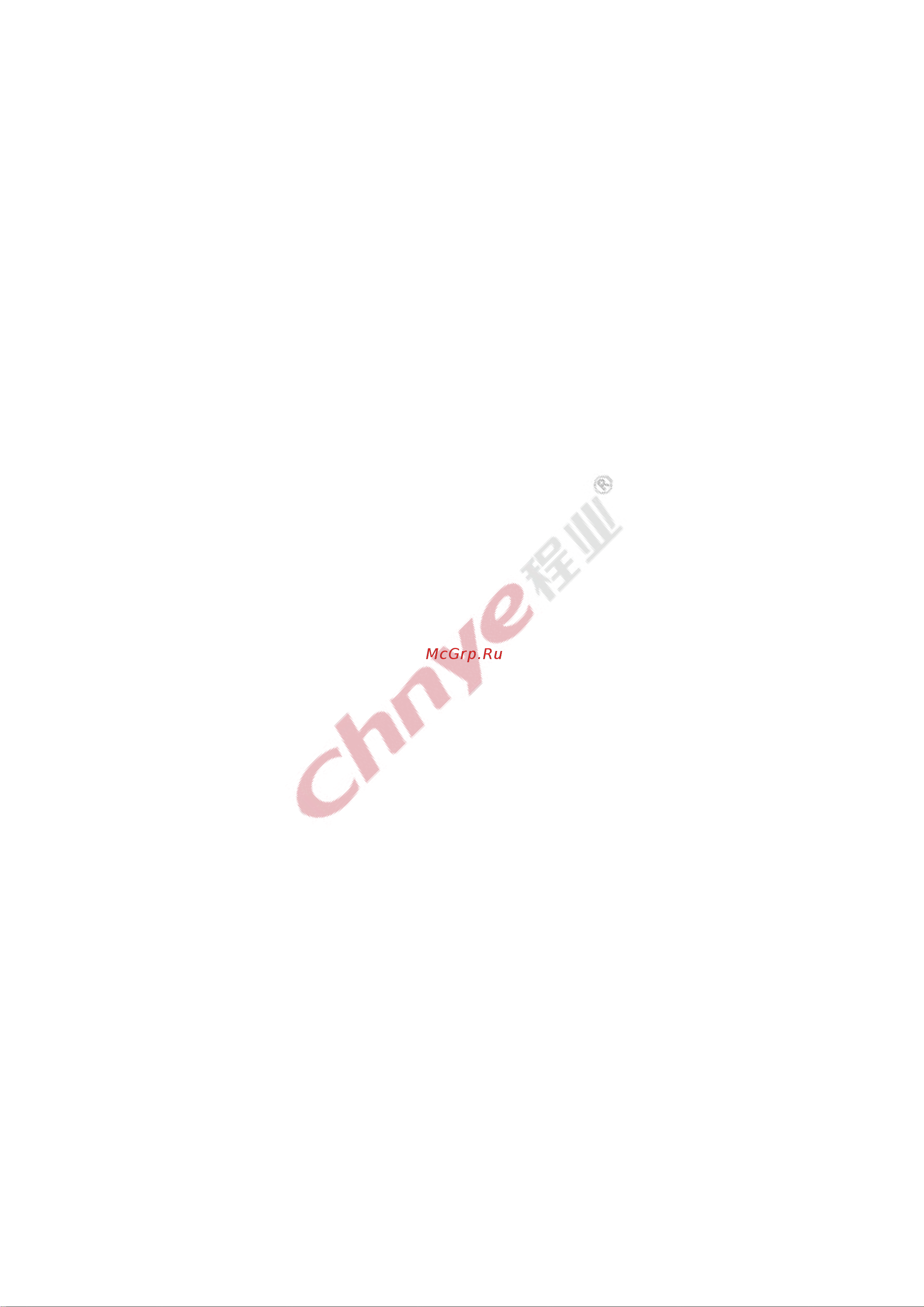 Chnye CY2310 (Graco type, сопло, евро вилка) 55538 Инструкция онлайн [8/31] 836441