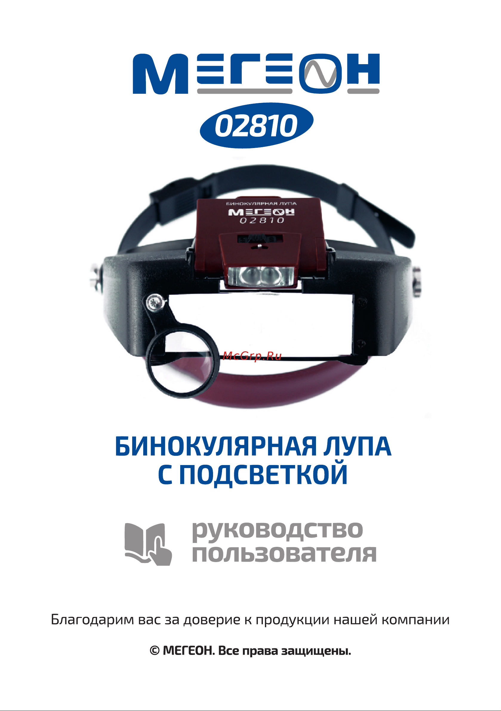 МЕГЕОН 02810 к0000011687 Инструкция онлайн